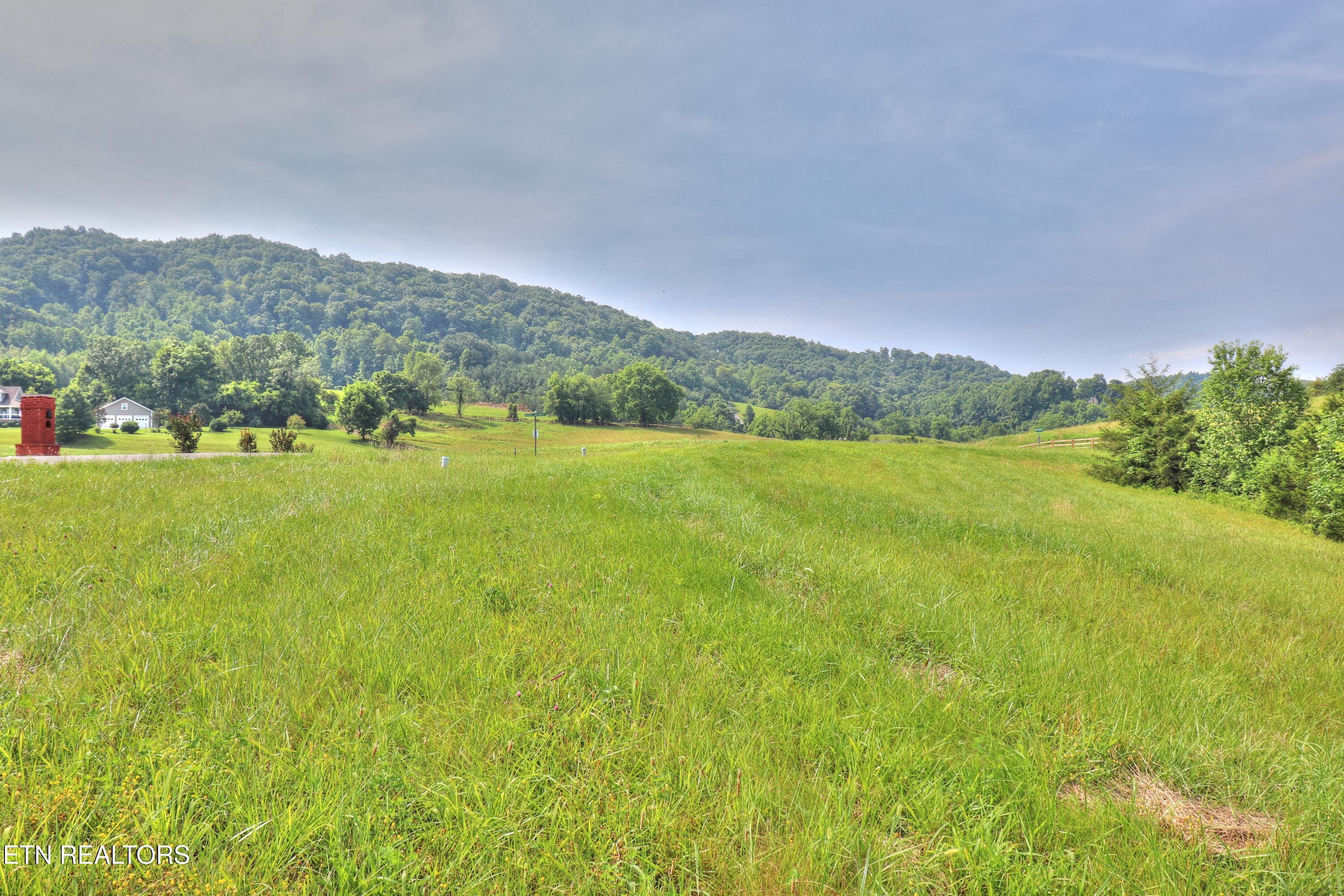 Norris Lake Real Estate - Image# 5