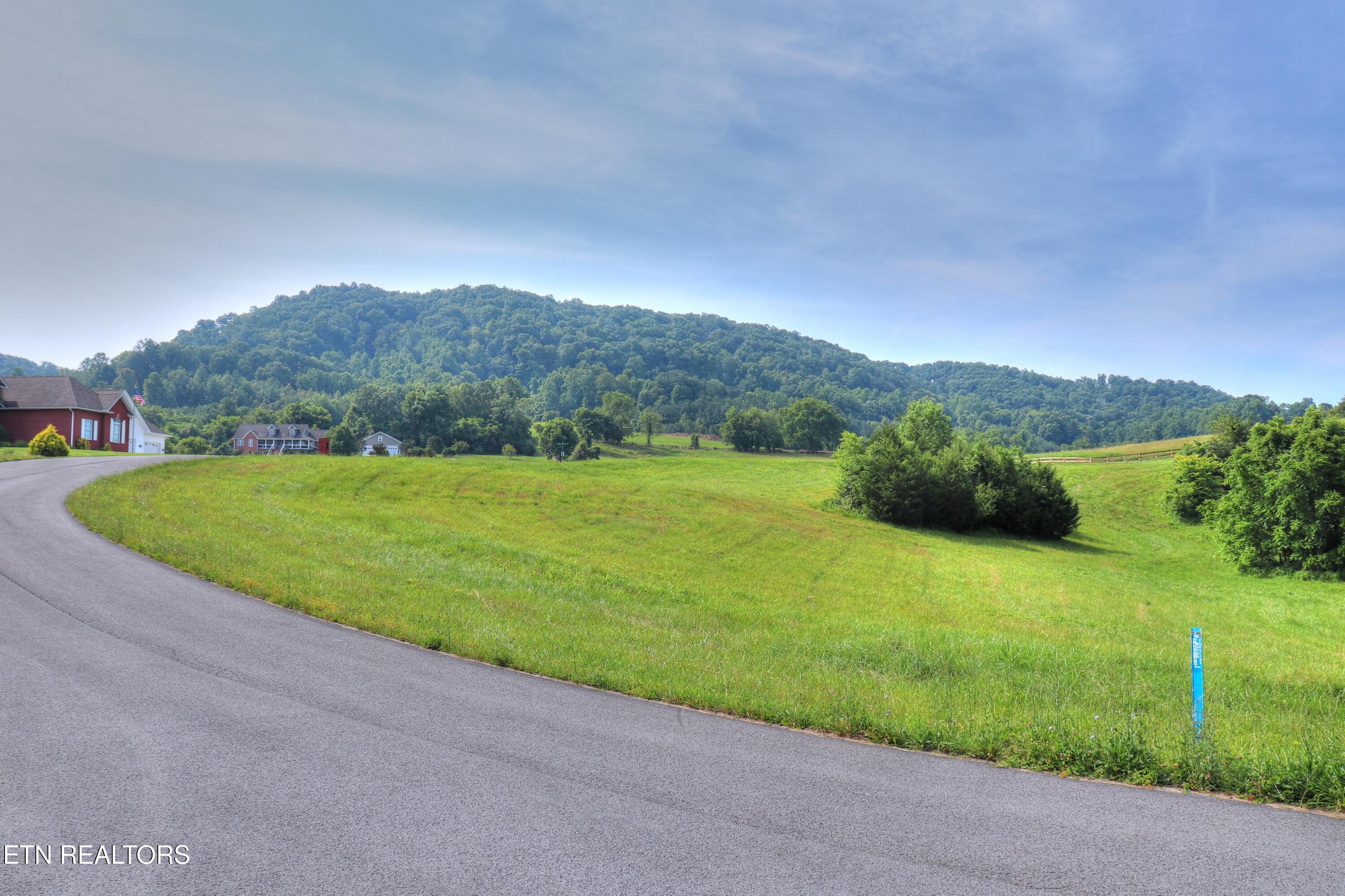 Norris Lake Real Estate - Image# 3
