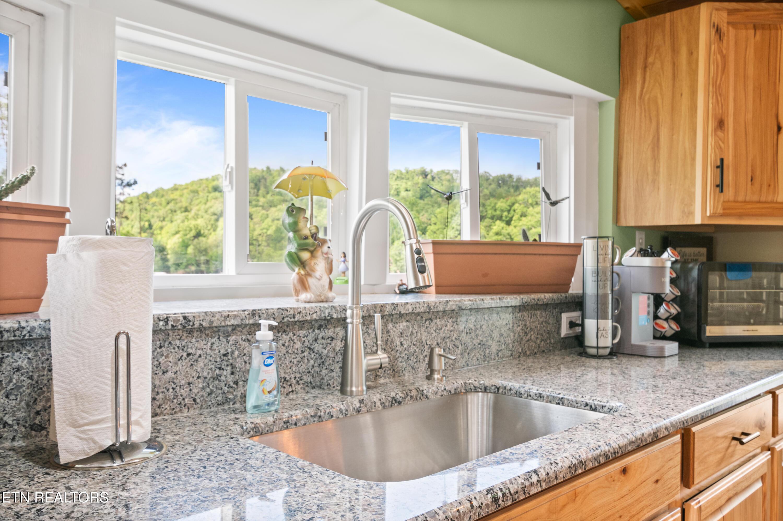 642 Blue Springs Rd, Speedwell, TN - Norris Lake Real Estate - Image# 18