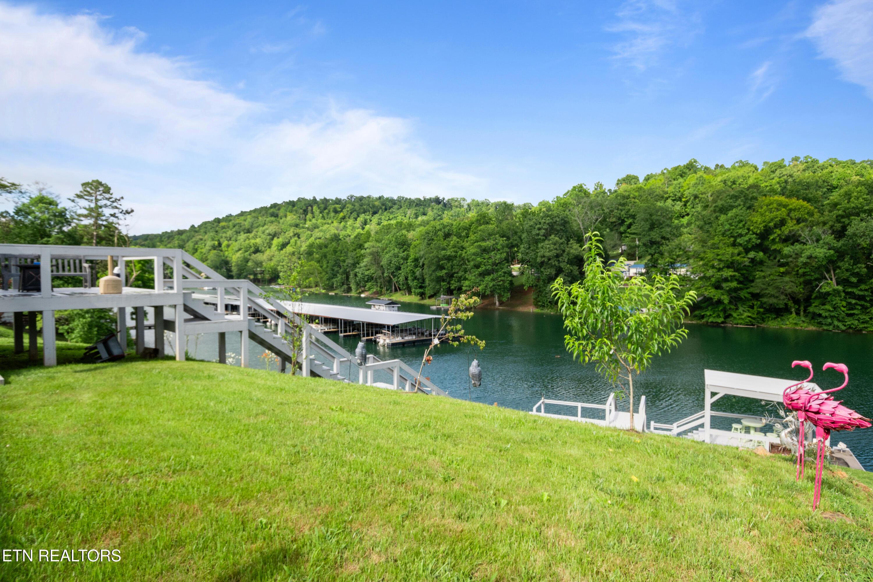642 Blue Springs Rd, Speedwell, TN - Norris Lake Real Estate - Image# 33