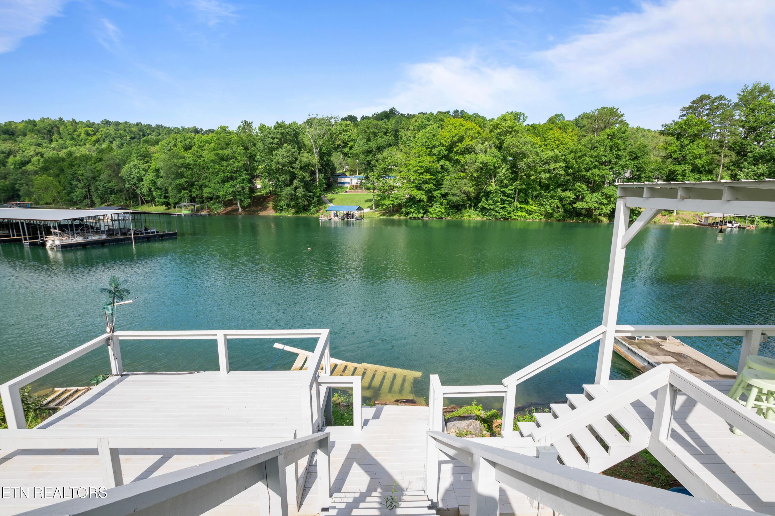 642 Blue Springs Rd, Speedwell, TN - Norris Lake Real Estate - Image# 38