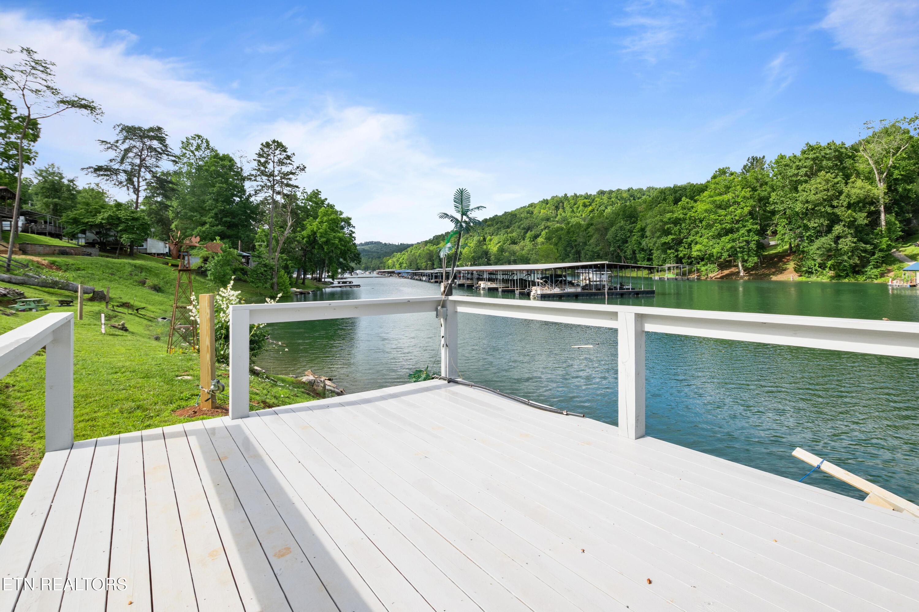 642 Blue Springs Rd, Speedwell, TN - Norris Lake Real Estate - Image# 39