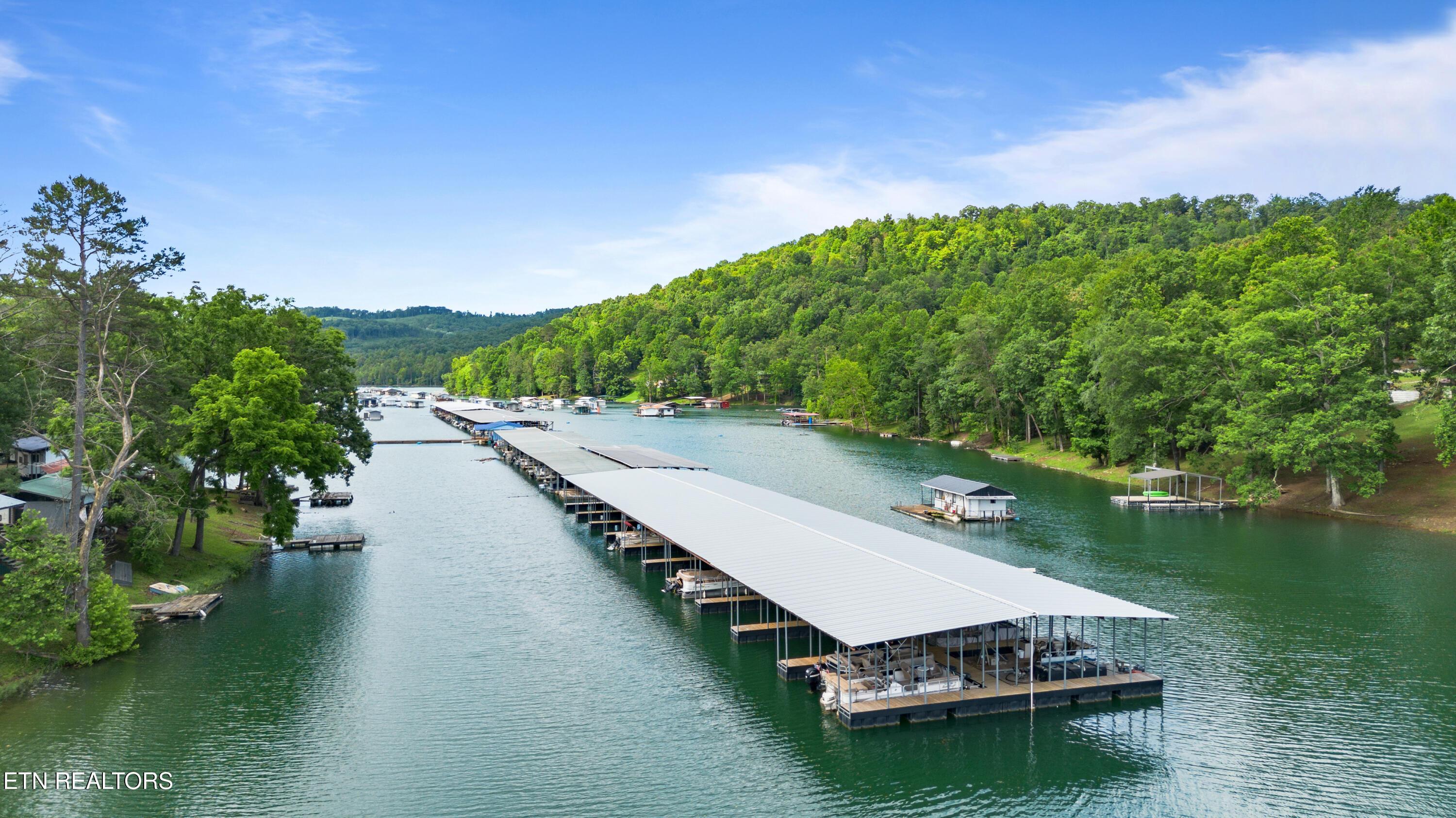 642 Blue Springs Rd, Speedwell, TN - Norris Lake Real Estate - Image# 47