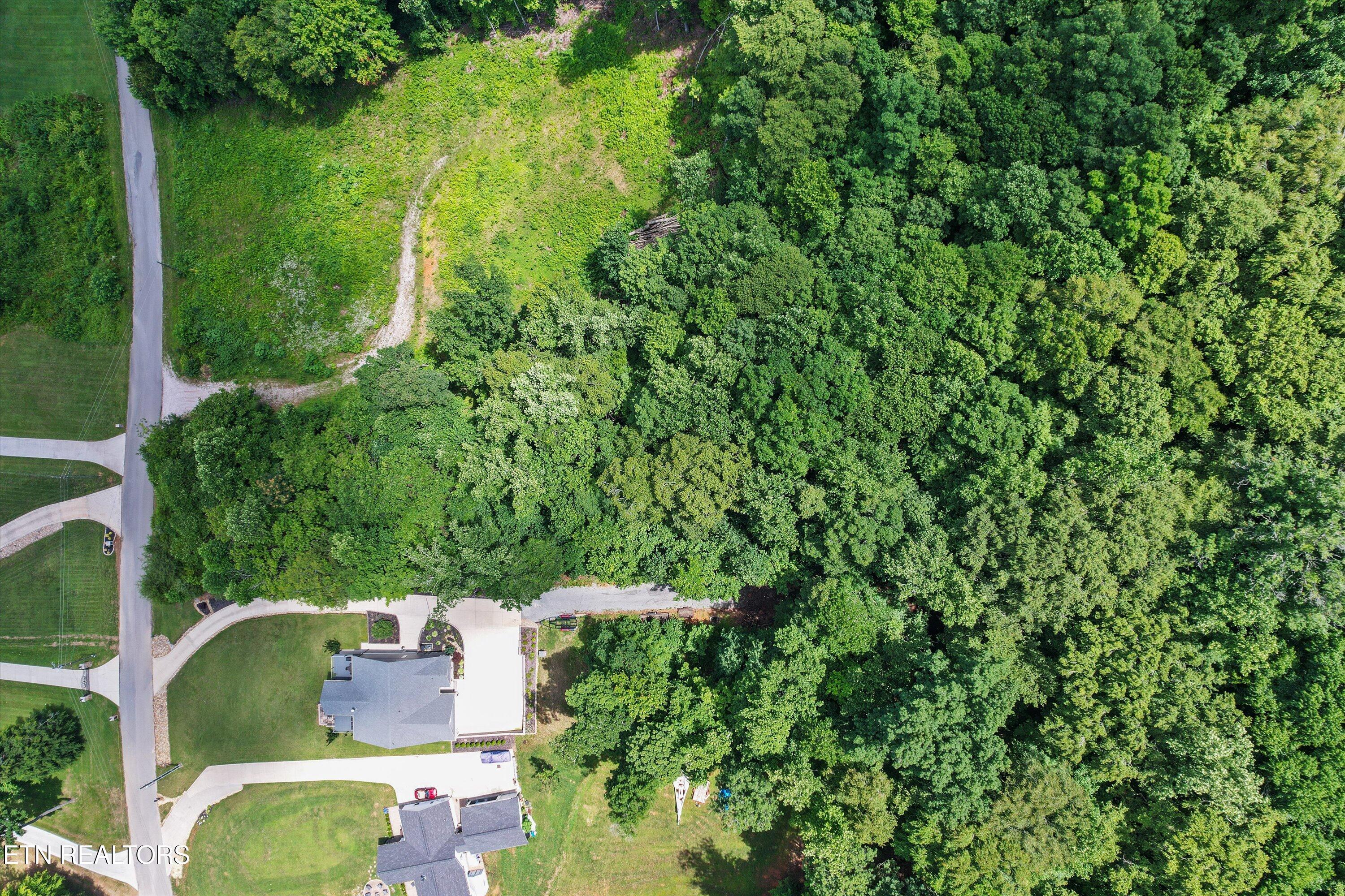 Norris Lake Real Estate - Image# 5