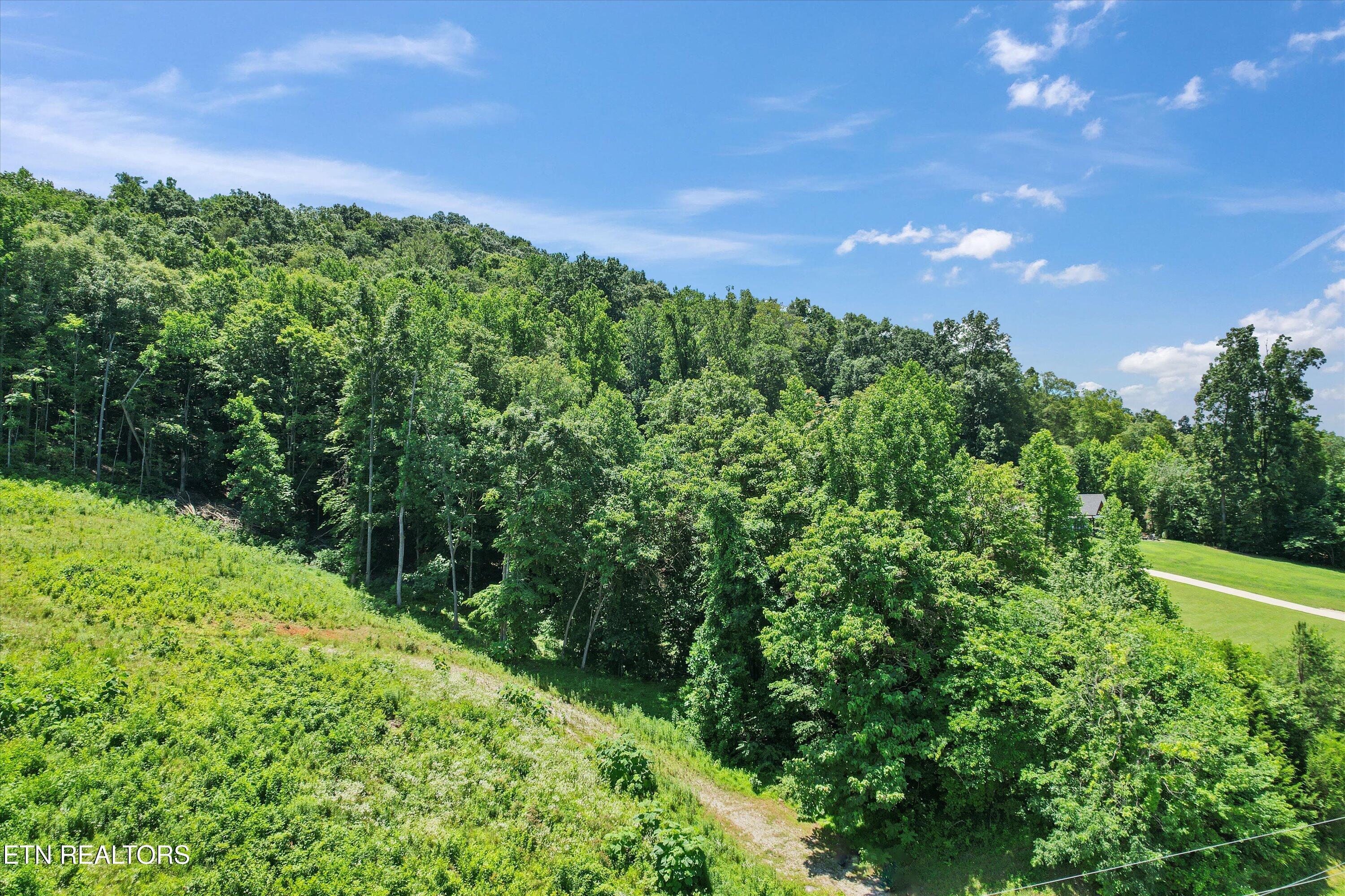 Norris Lake Real Estate - Image# 11
