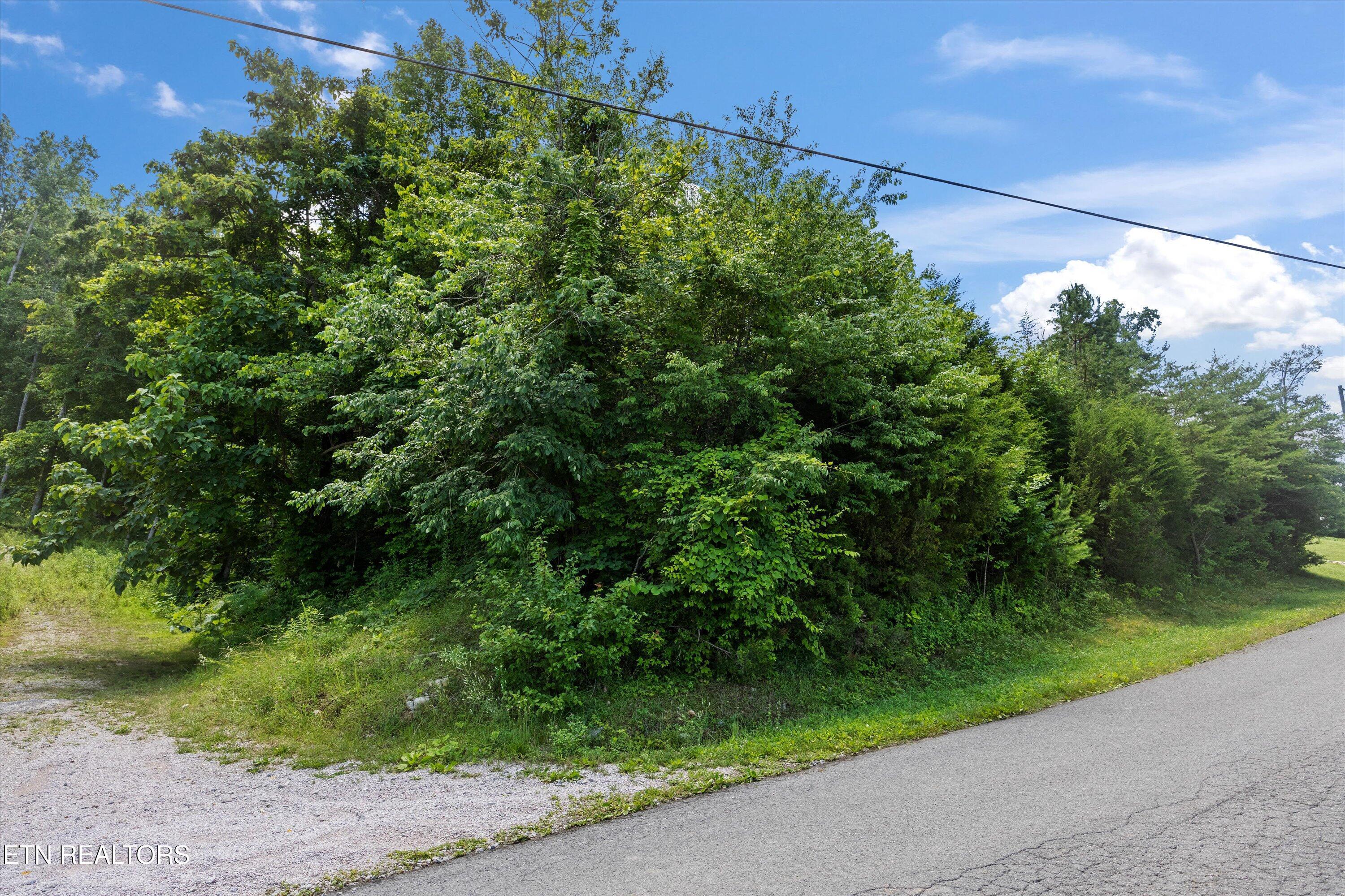 Norris Lake Real Estate - Image# 14