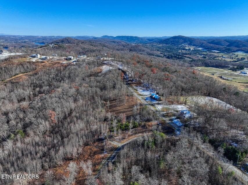 Lot 35 Hickory Pointe Lane, Maynardville, TN - Norris Lake Real Estate - Image# 3