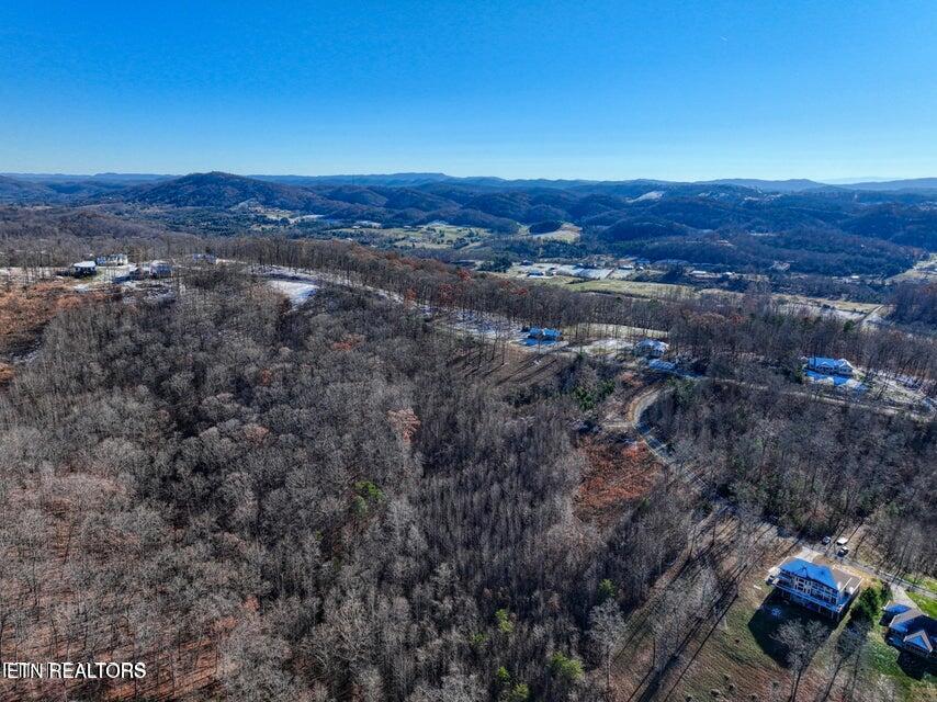 Lot 35 Hickory Pointe Lane, Maynardville, TN - Norris Lake Real Estate - Image# 7