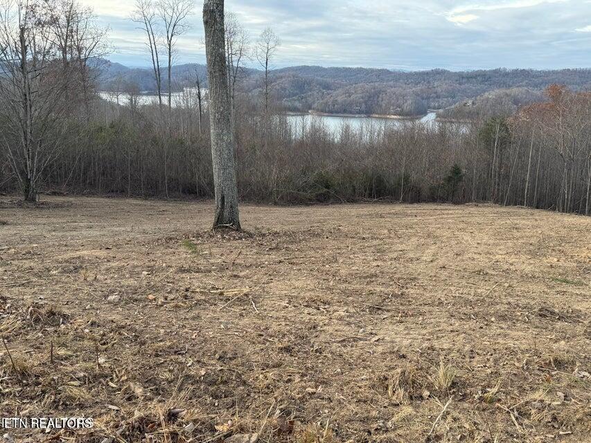 Lot 35 Hickory Pointe Lane, Maynardville, TN - Norris Lake Real Estate - Image# 8