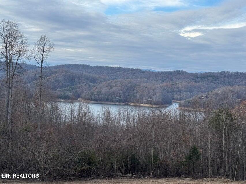 Lot 35 Hickory Pointe Lane, Maynardville, TN - Norris Lake Real Estate - Image# 9