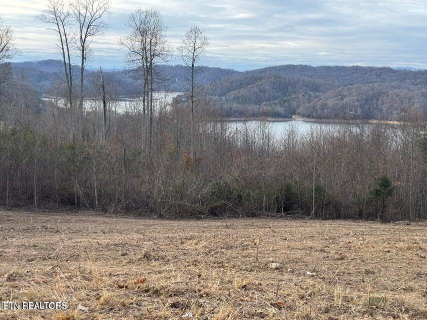 Lot 35 Hickory Pointe Lane, Maynardville, TN - Norris Lake Real Estate - Image# 1