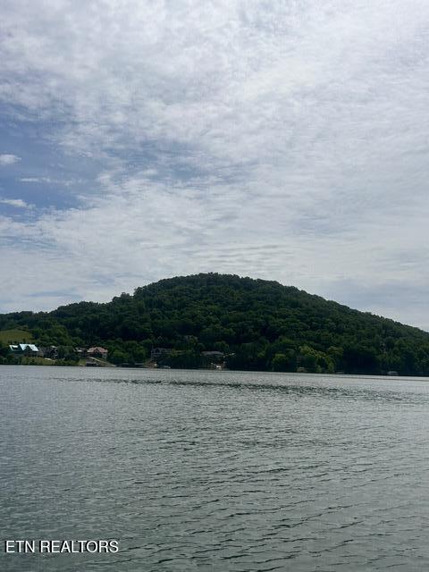 Norris Lake Real Estate - Image# 8