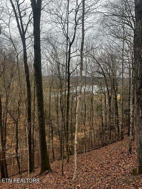 Norris Lake Real Estate - Image# 1