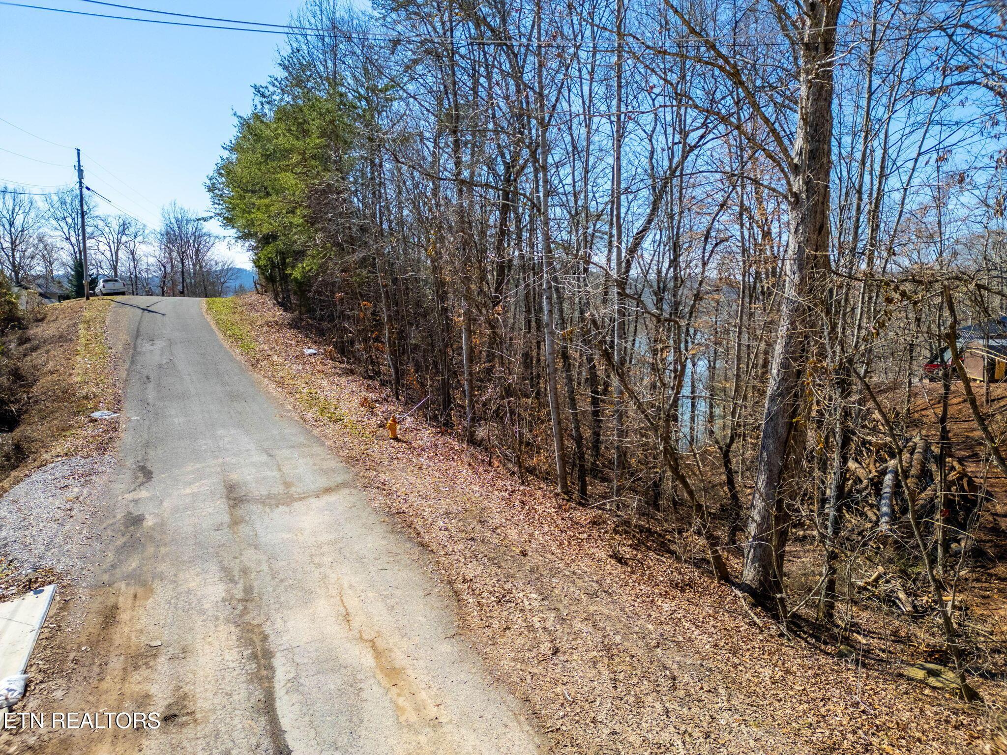 1340 Lakeview Drive, Sharps Chapel, TN - Norris Lake Real Estate - Image# 21