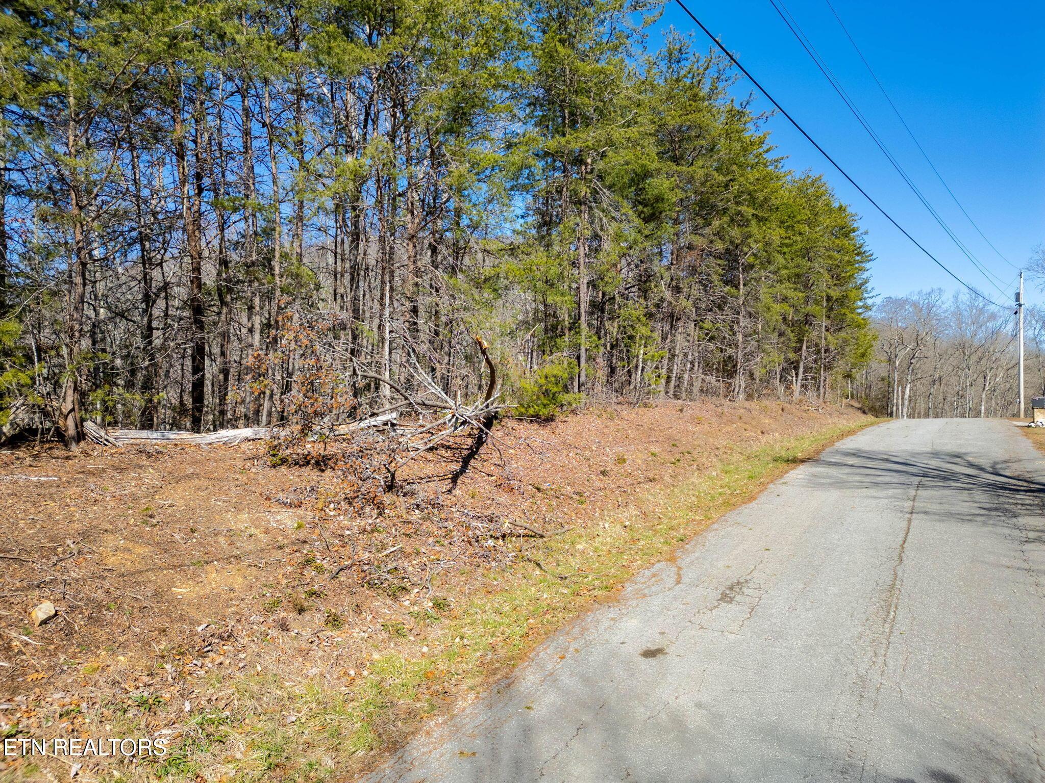 1340 Lakeview Drive, Sharps Chapel, TN - Norris Lake Real Estate - Image# 20