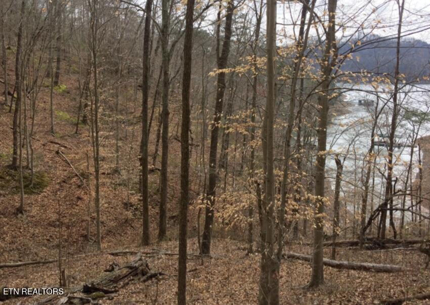 1340 Lakeview Drive, Sharps Chapel, TN - Norris Lake Real Estate - Image# 4