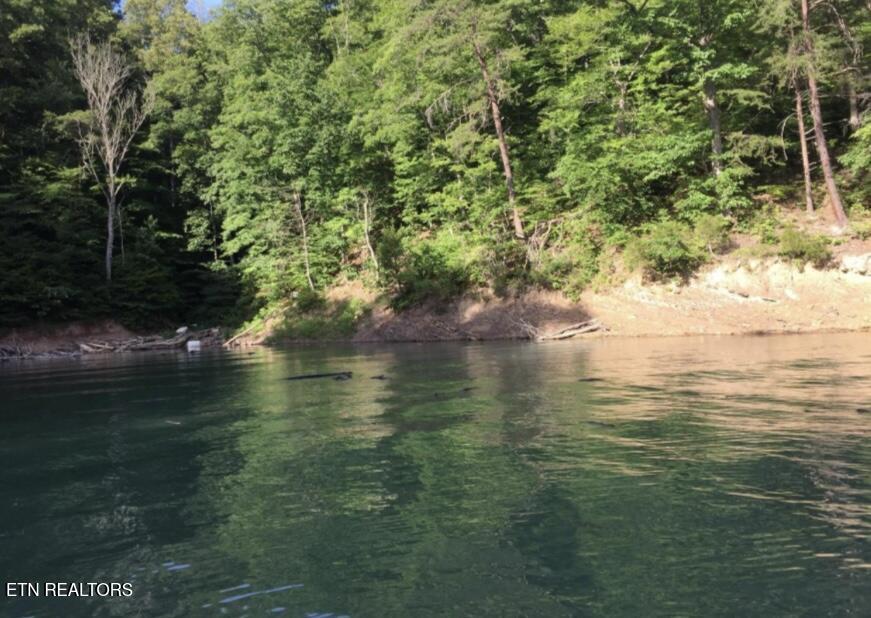 1340 Lakeview Drive, Sharps Chapel, TN - Norris Lake Real Estate - Image# 6