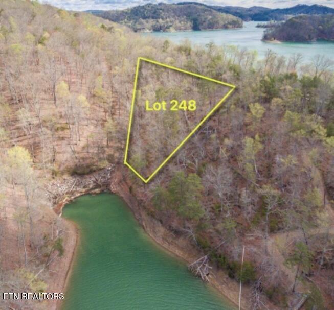 1340 Lakeview Drive, Sharps Chapel, TN - Norris Lake Real Estate - Image# 2