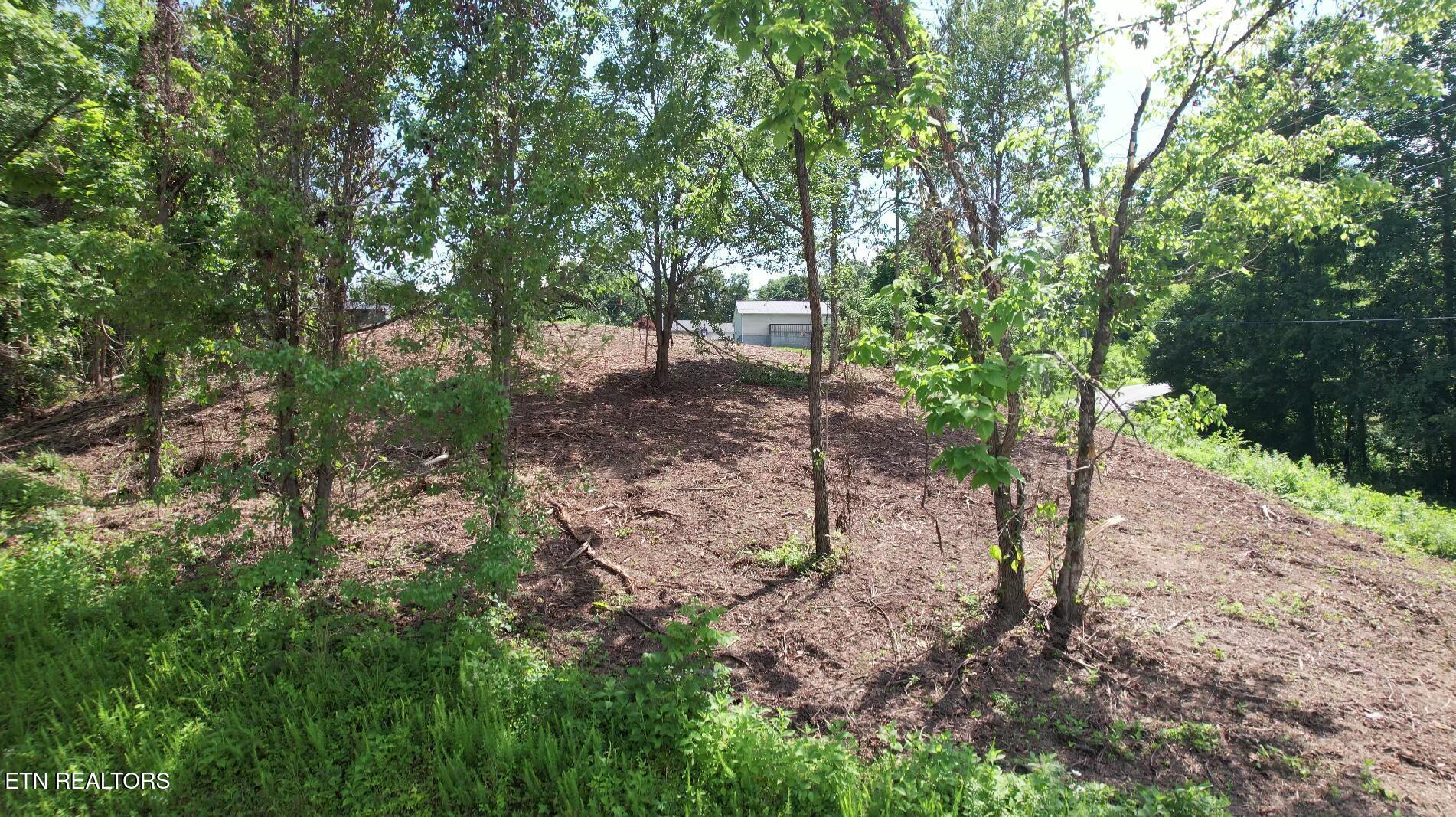 Grantsboro Rd, Lafollette, TN - Norris Lake Real Estate - Image# 14