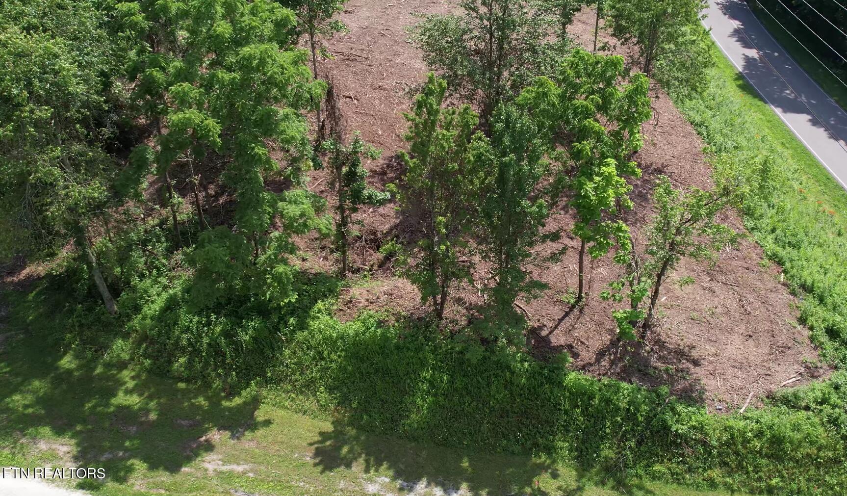 Grantsboro Rd, Lafollette, TN - Norris Lake Real Estate - Image# 15