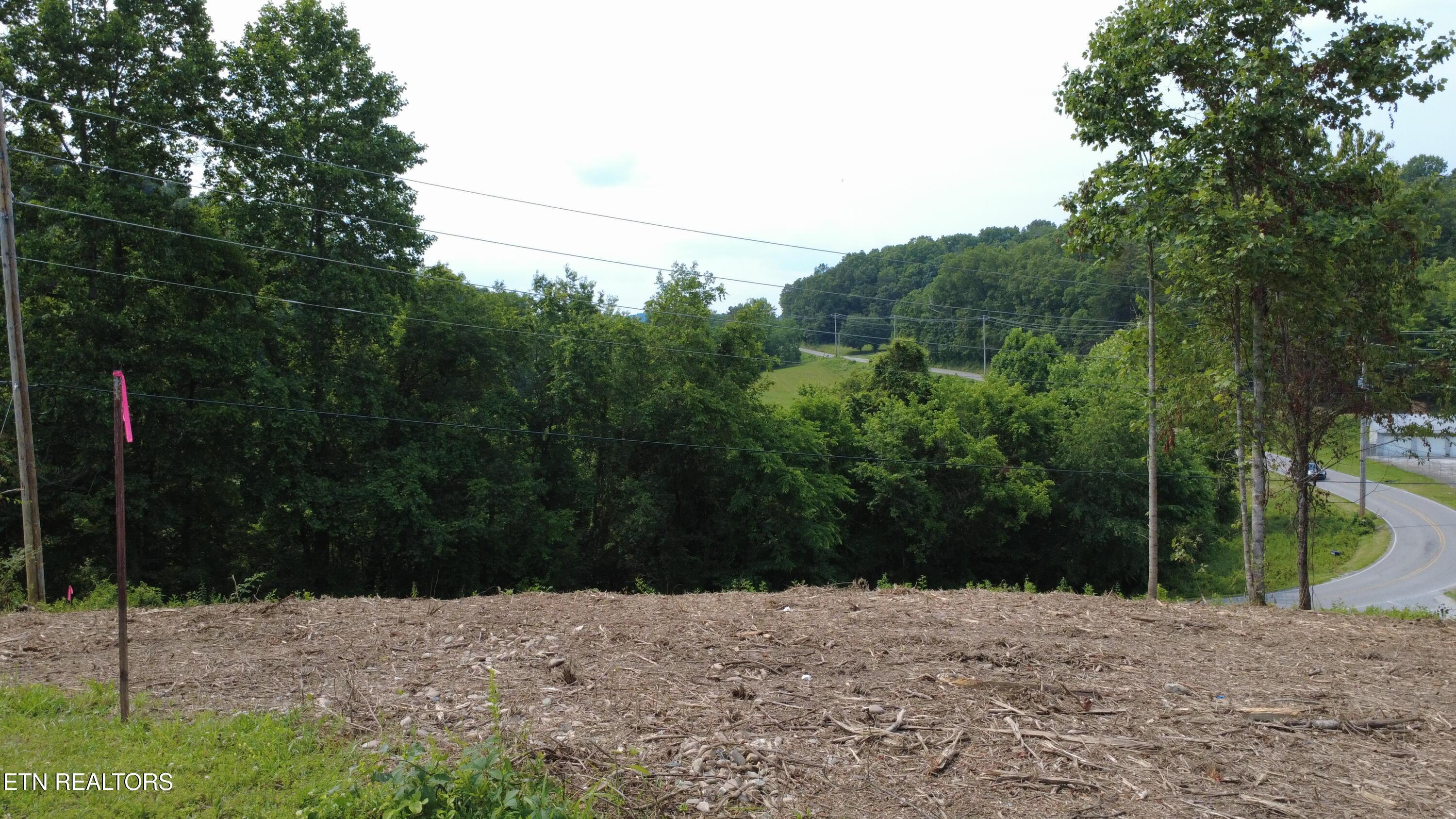 Grantsboro Rd, Lafollette, TN - Norris Lake Real Estate - Image# 21