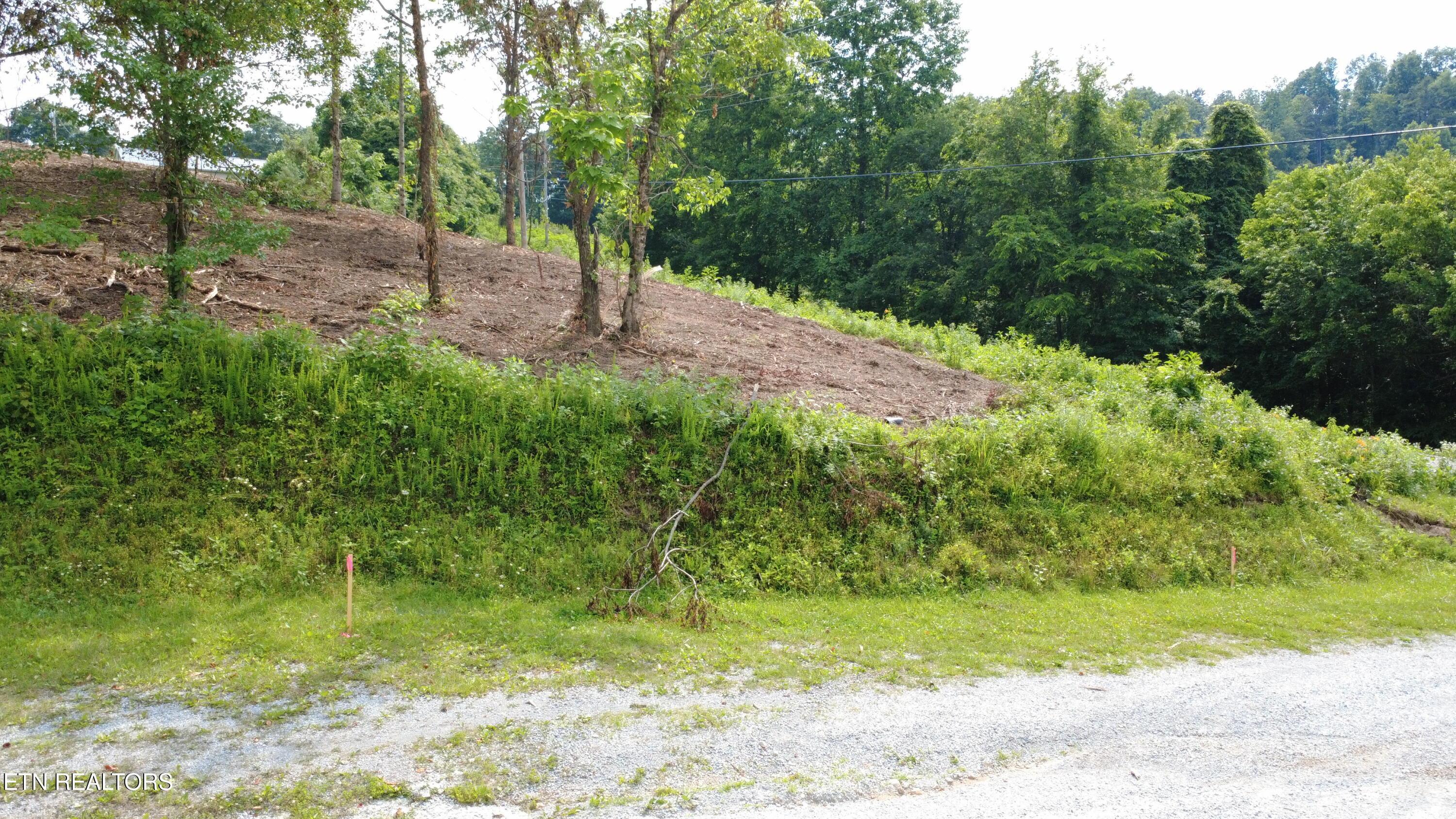 Grantsboro Rd, Lafollette, TN - Norris Lake Real Estate - Image# 22