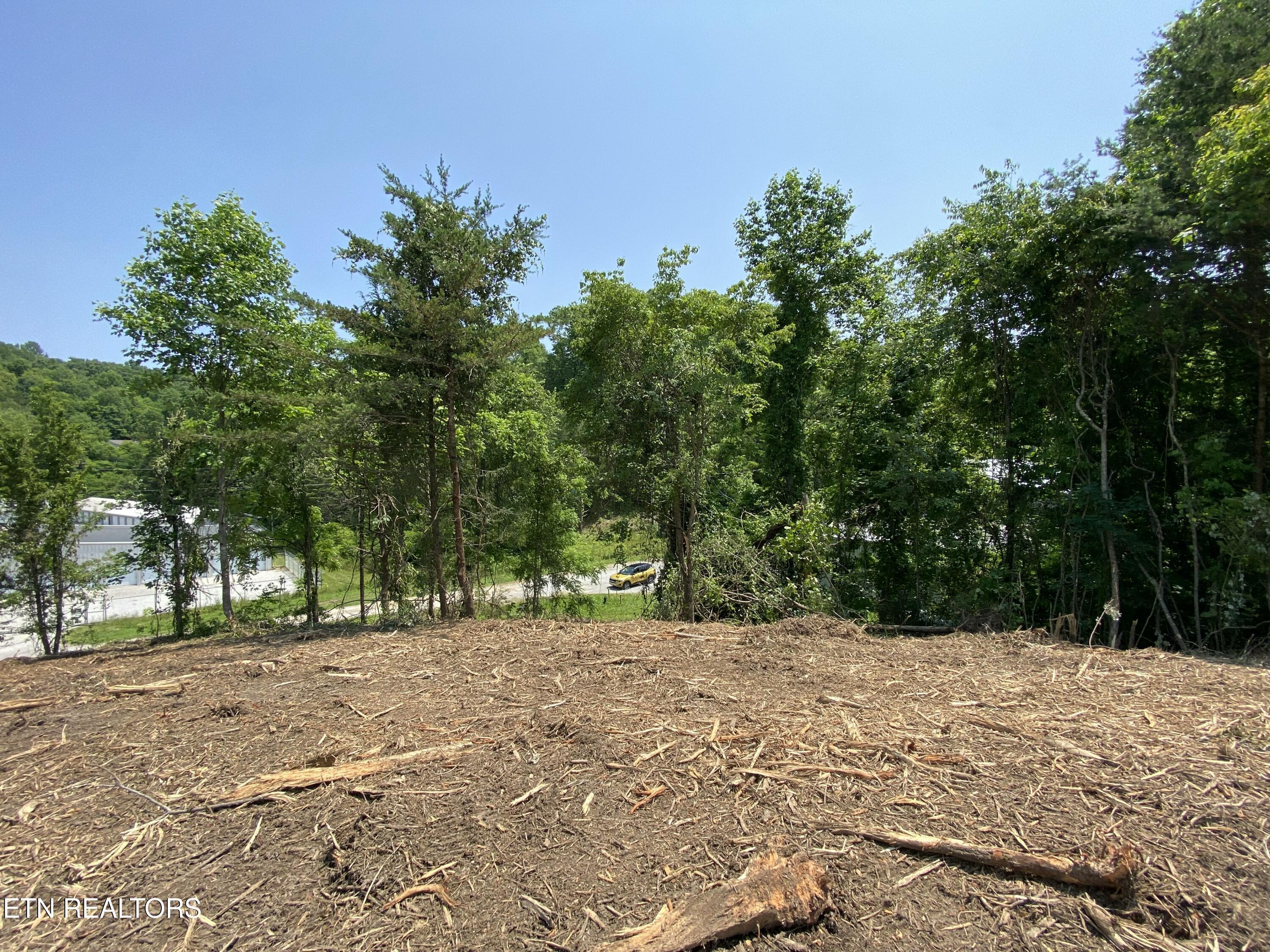 Grantsboro Rd, Lafollette, TN - Norris Lake Real Estate - Image# 24