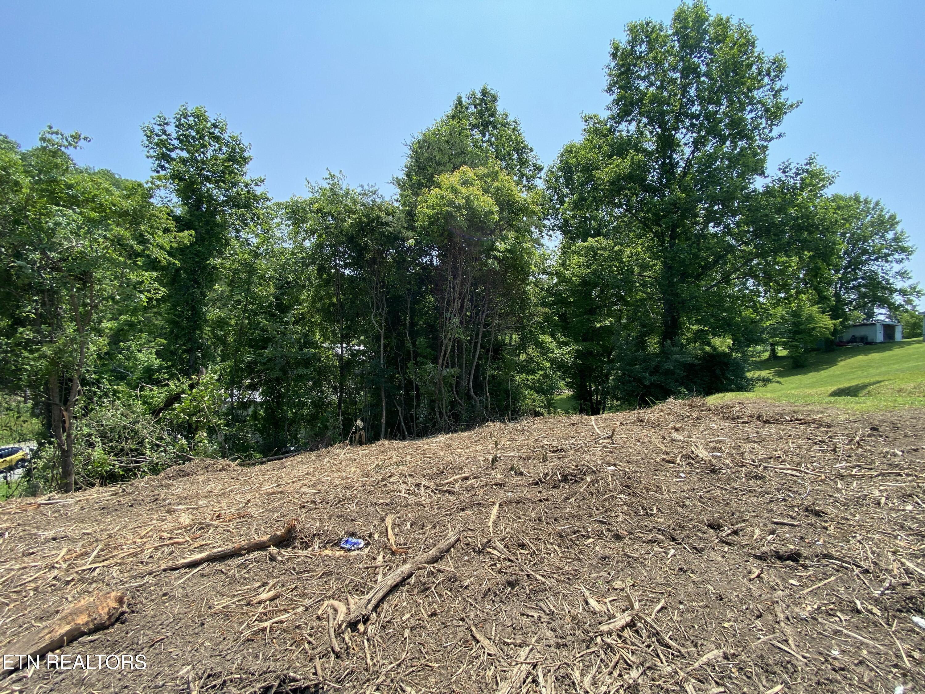 Grantsboro Rd, Lafollette, TN - Norris Lake Real Estate - Image# 25