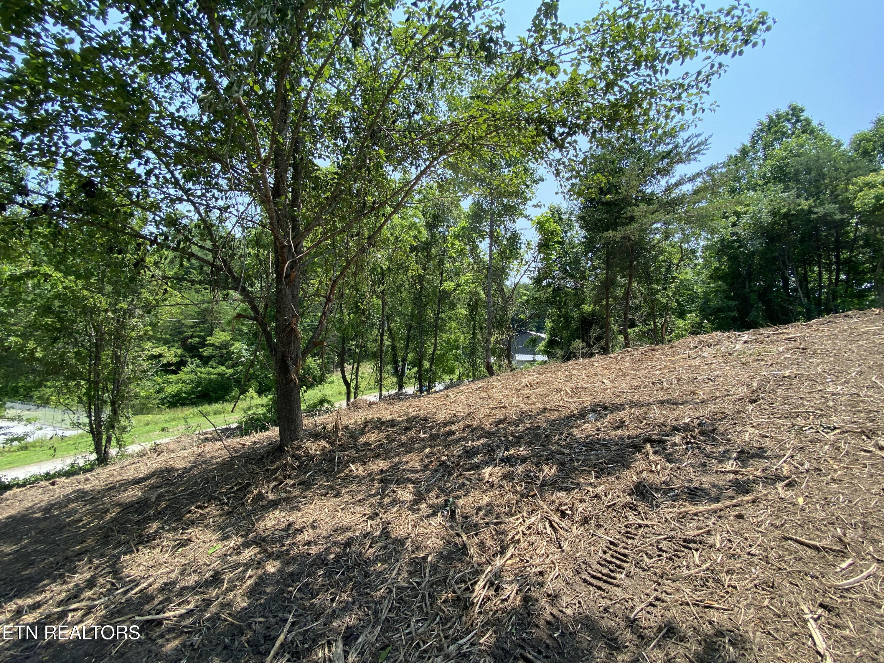 Grantsboro Rd, Lafollette, TN - Norris Lake Real Estate - Image# 30