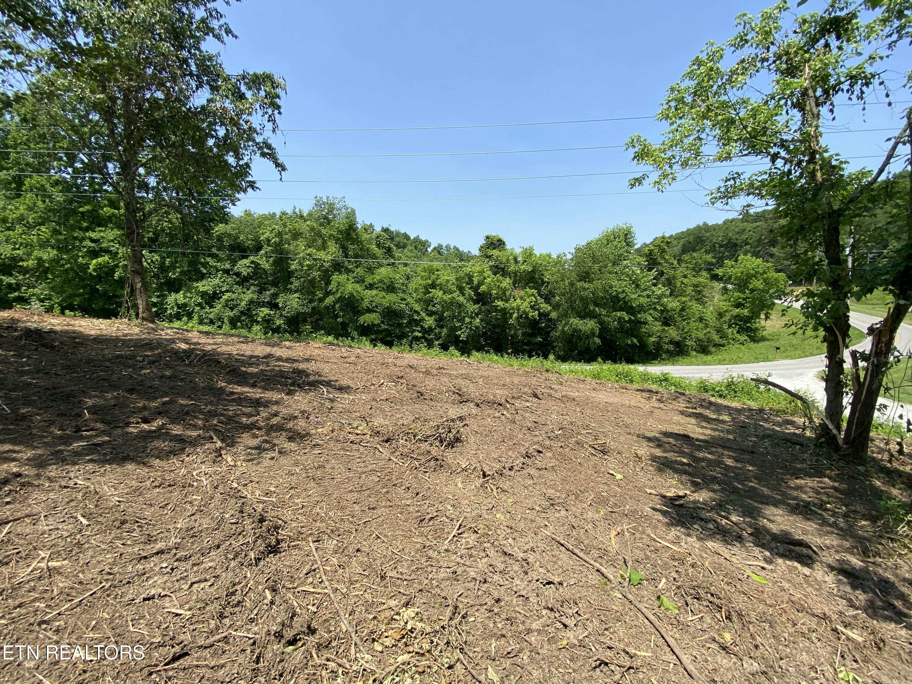 Grantsboro Rd, Lafollette, TN - Norris Lake Real Estate - Image# 31