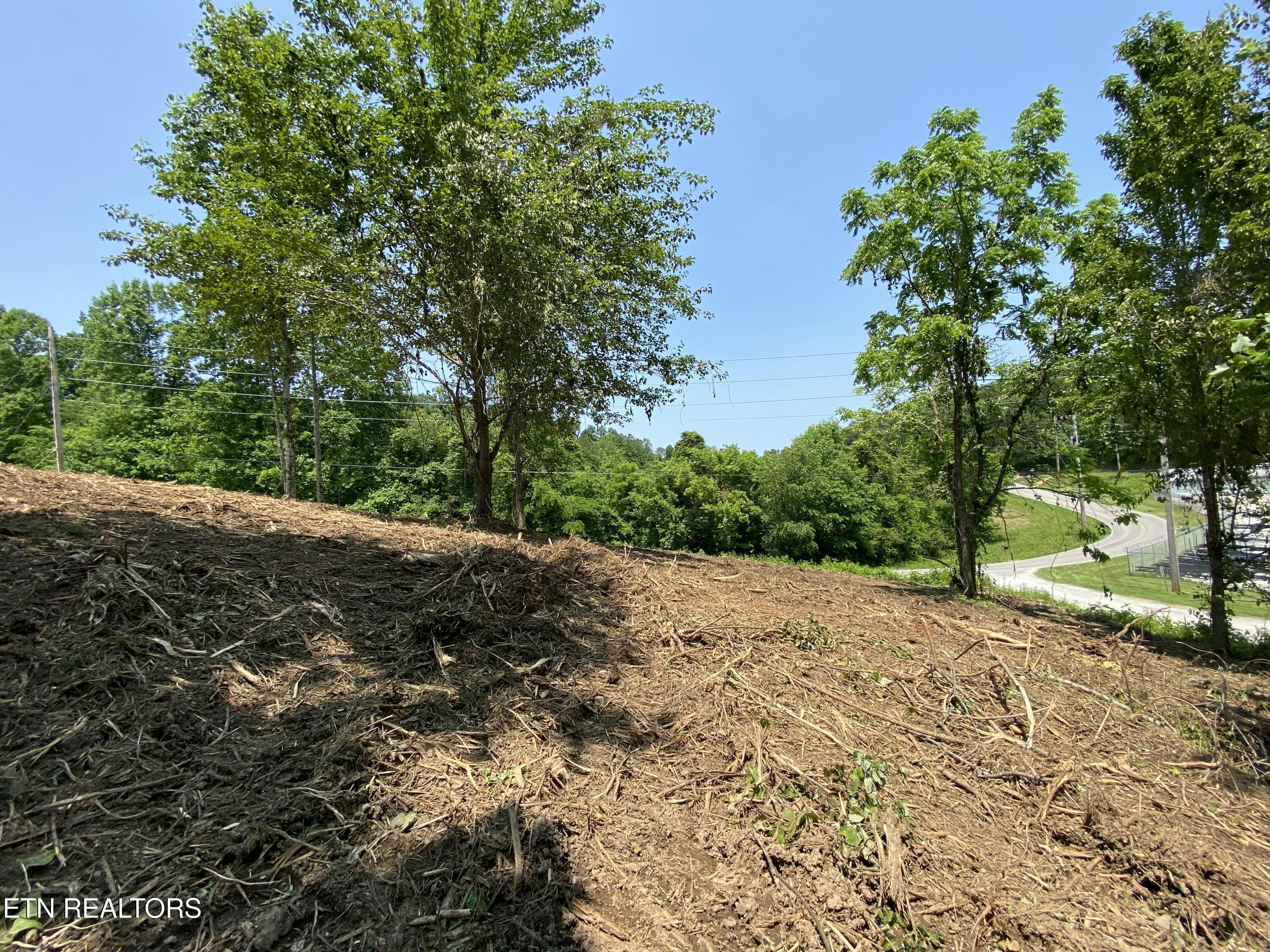Grantsboro Rd, Lafollette, TN - Norris Lake Real Estate - Image# 32