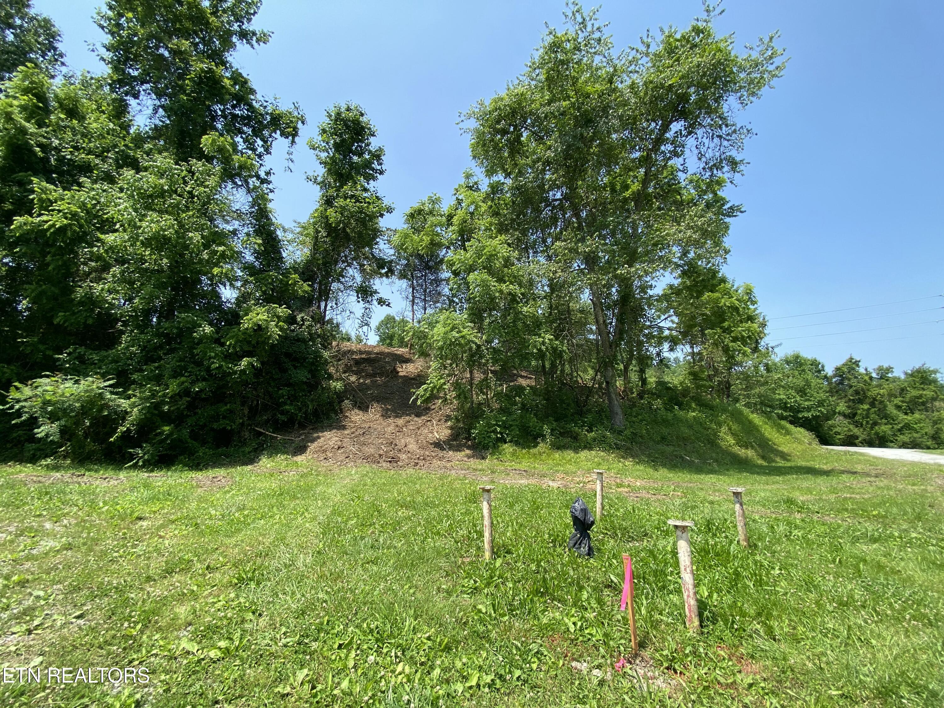 Grantsboro Rd, Lafollette, TN - Norris Lake Real Estate - Image# 33
