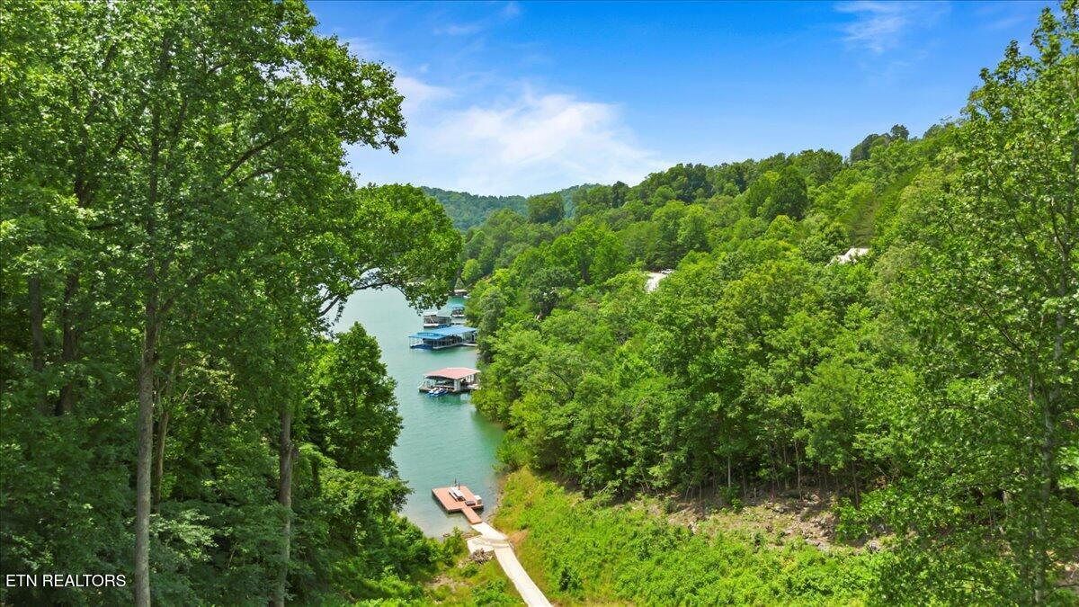824 Deerfield Way, Lafollette, TN - Norris Lake Real Estate - Image# 7