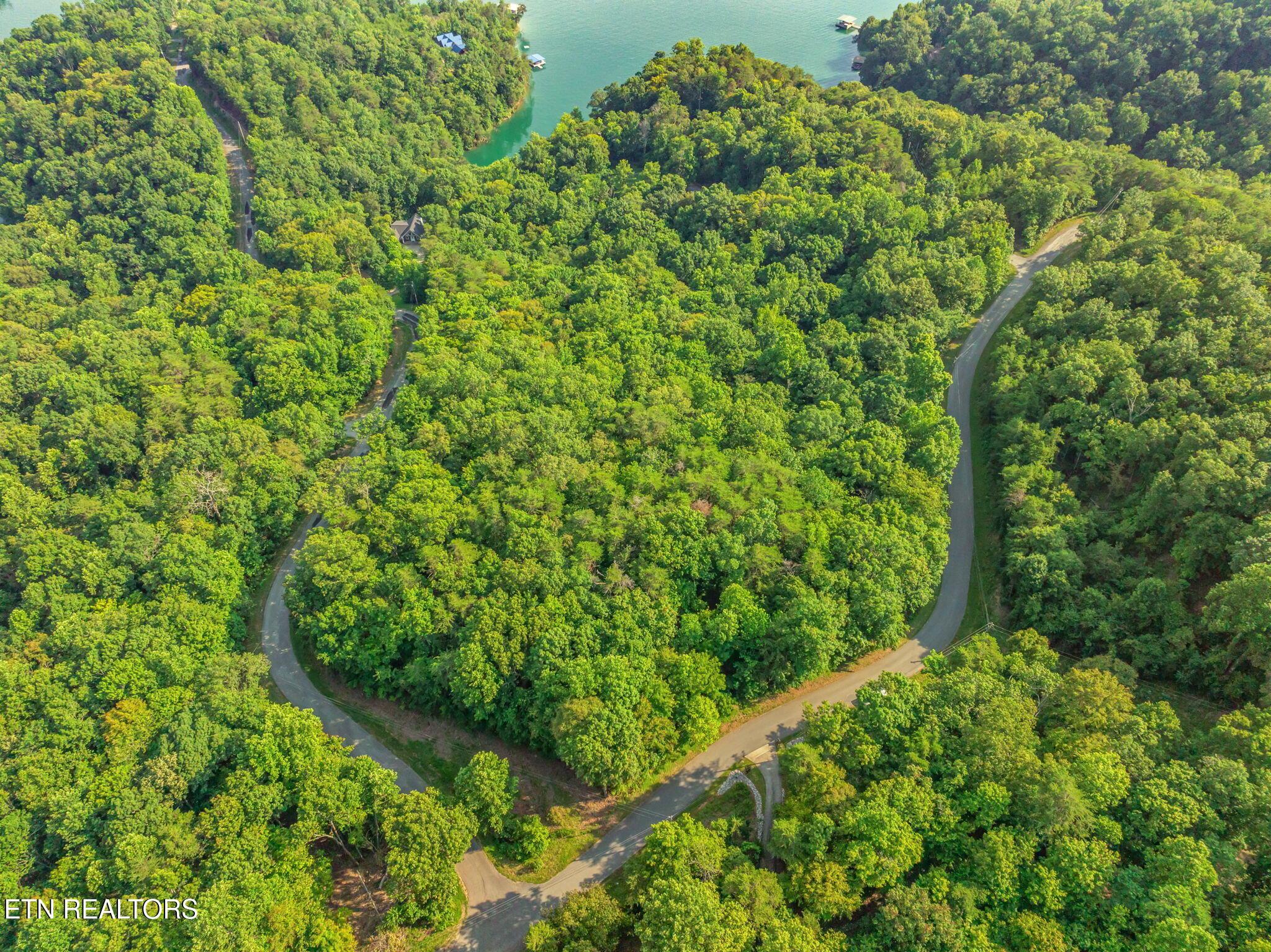 Lot146,147 Lakeview Drive, Sharps Chapel, TN - Norris Lake Real Estate - Image# 4