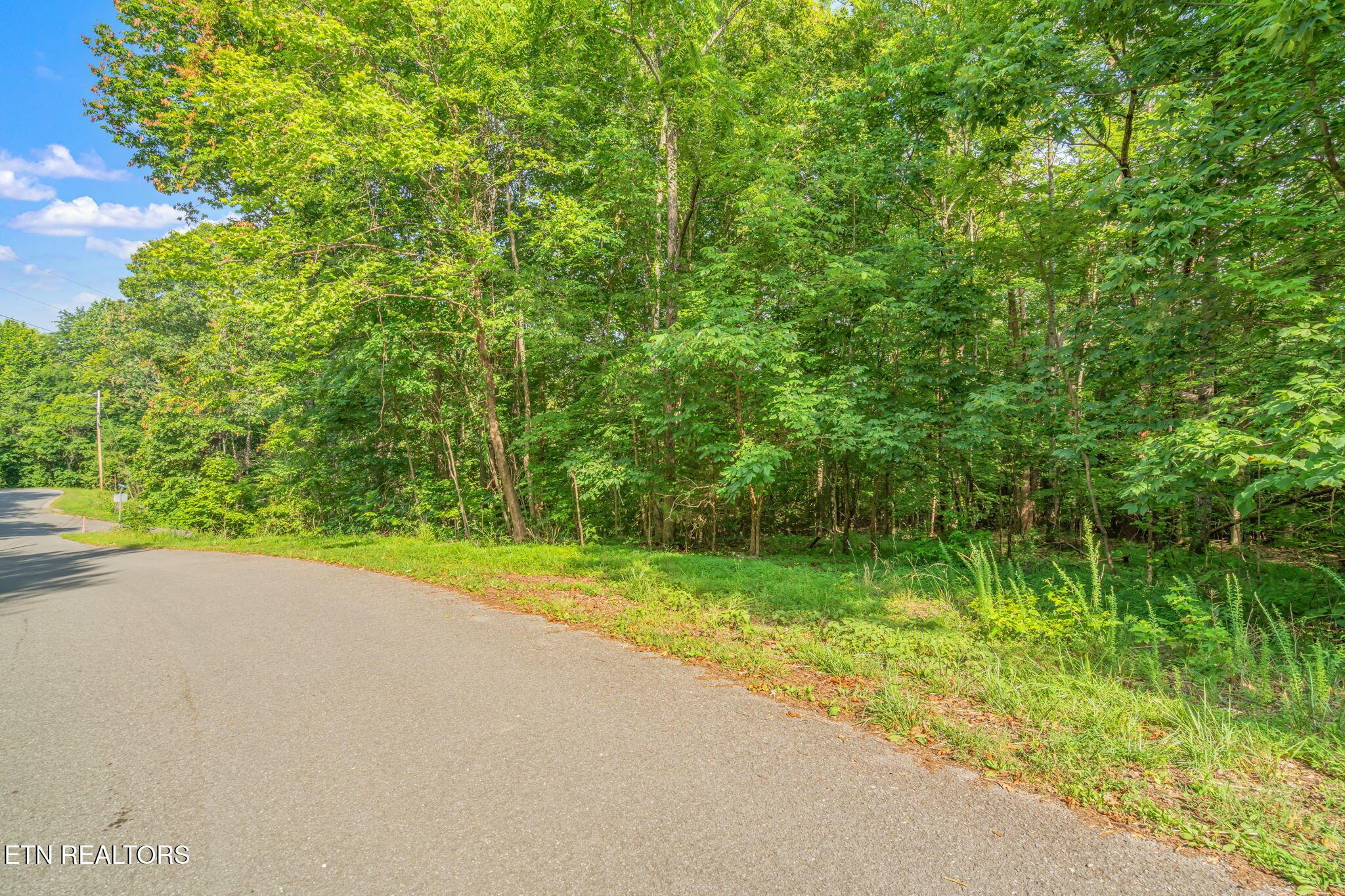 Lot146,147 Lakeview Drive, Sharps Chapel, TN - Norris Lake Real Estate - Image# 10