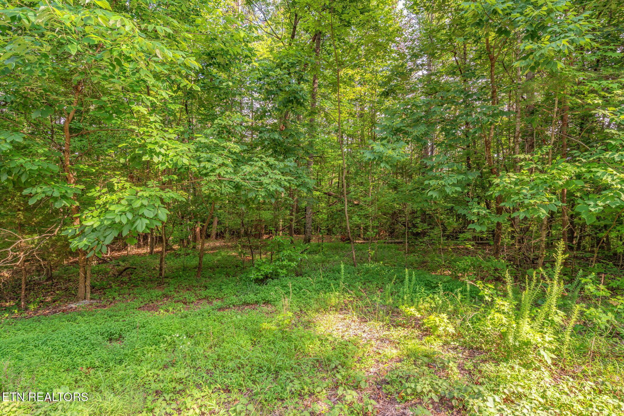 Lot146,147 Lakeview Drive, Sharps Chapel, TN - Norris Lake Real Estate - Image# 12