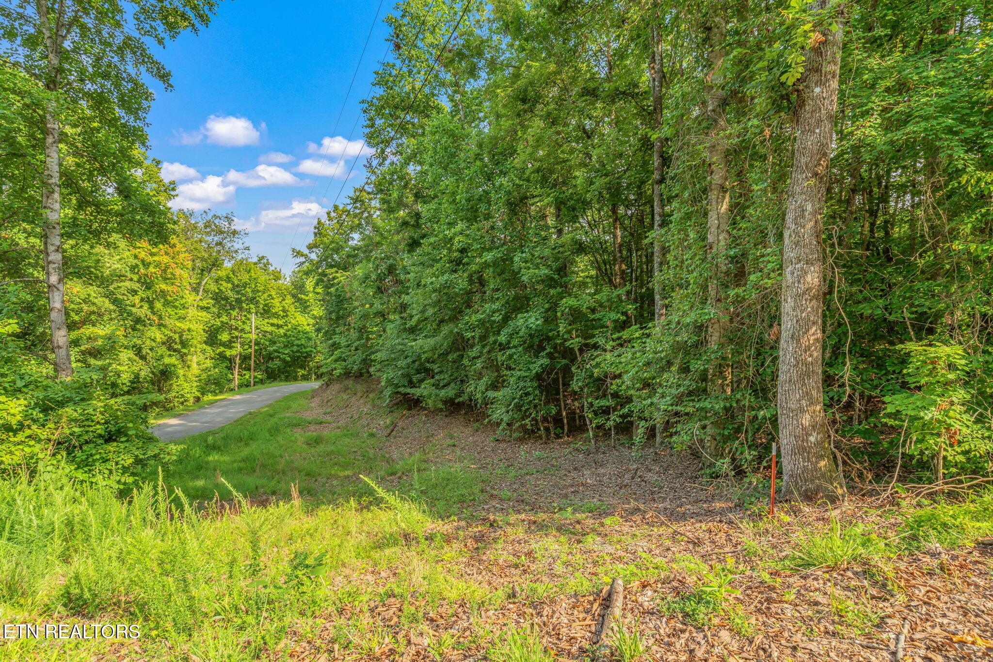 Lot146,147 Lakeview Drive, Sharps Chapel, TN - Norris Lake Real Estate - Image# 13