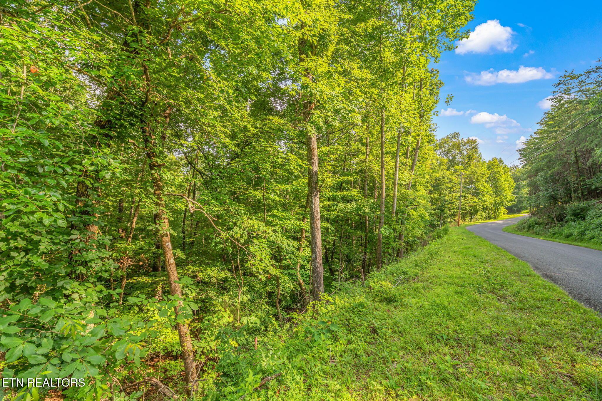 Lot146,147 Lakeview Drive, Sharps Chapel, TN - Norris Lake Real Estate - Image# 14