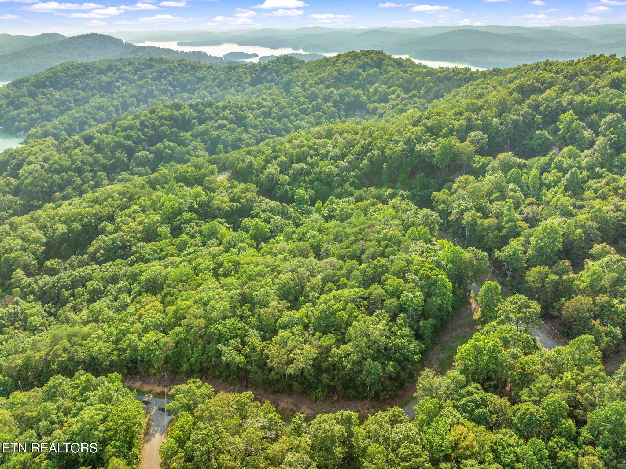 Lot146,147 Lakeview Drive, Sharps Chapel, TN - Norris Lake Real Estate - Image# 6
