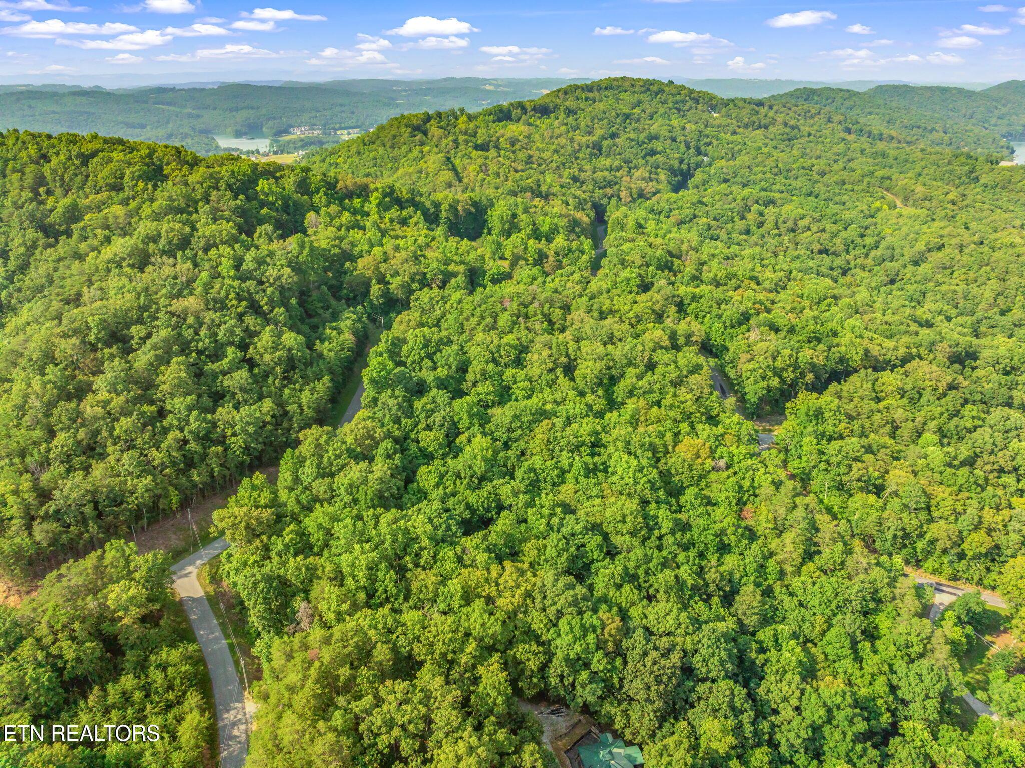 Lot146,147 Lakeview Drive, Sharps Chapel, TN - Norris Lake Real Estate - Image# 7