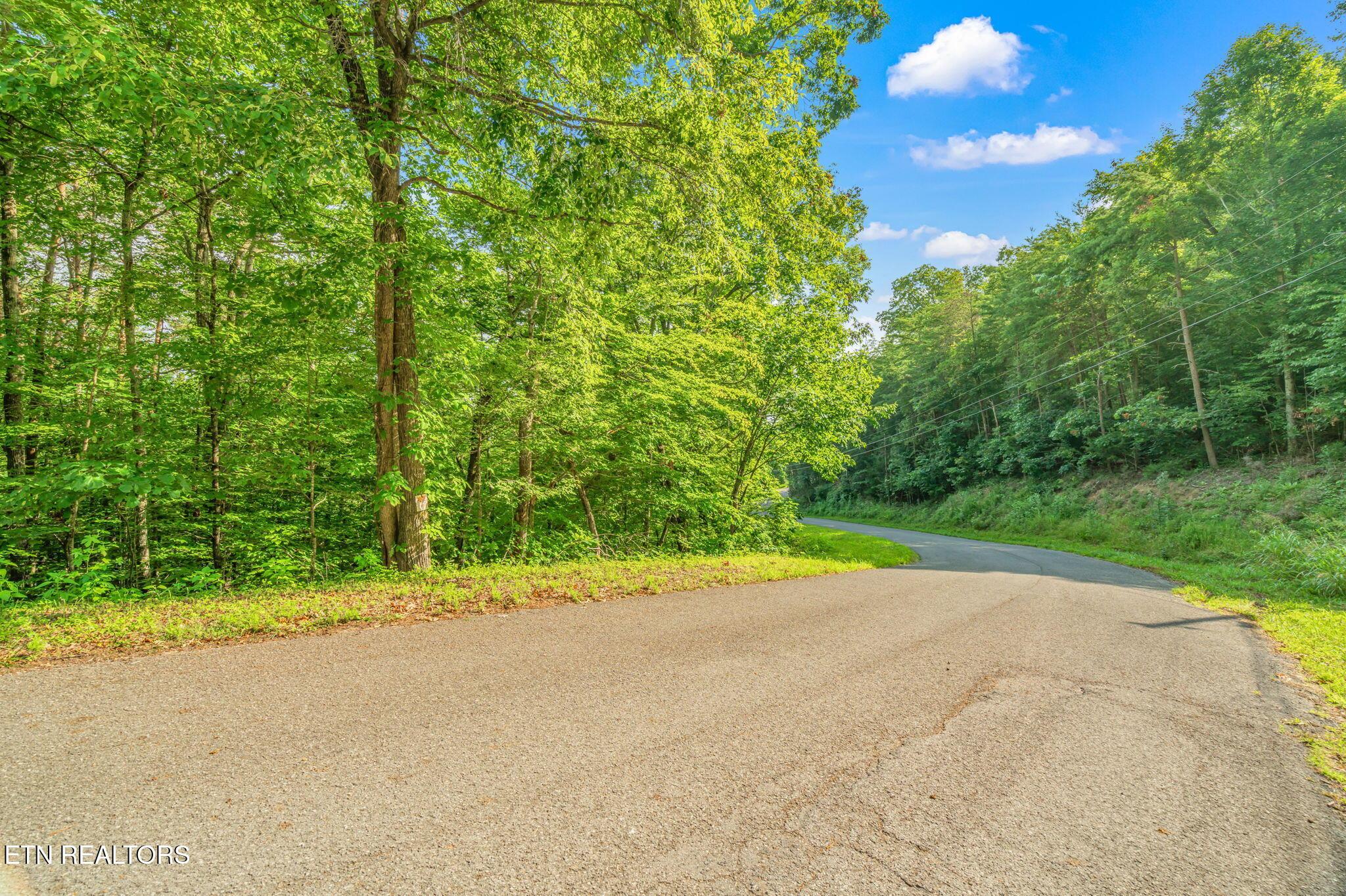 Lot146,147 Lakeview Drive, Sharps Chapel, TN - Norris Lake Real Estate - Image# 11