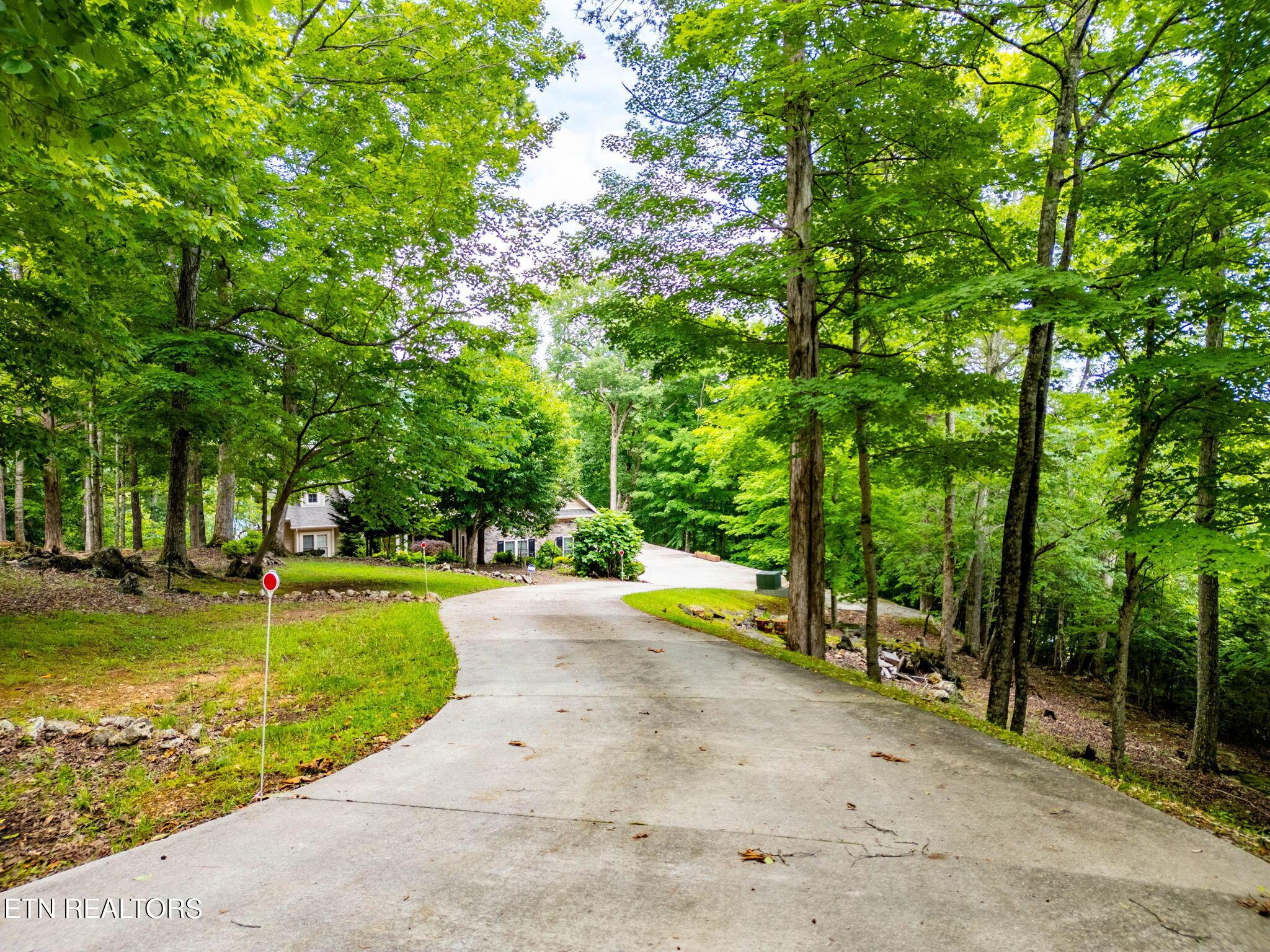 Norris Lake Real Estate - Image# 5