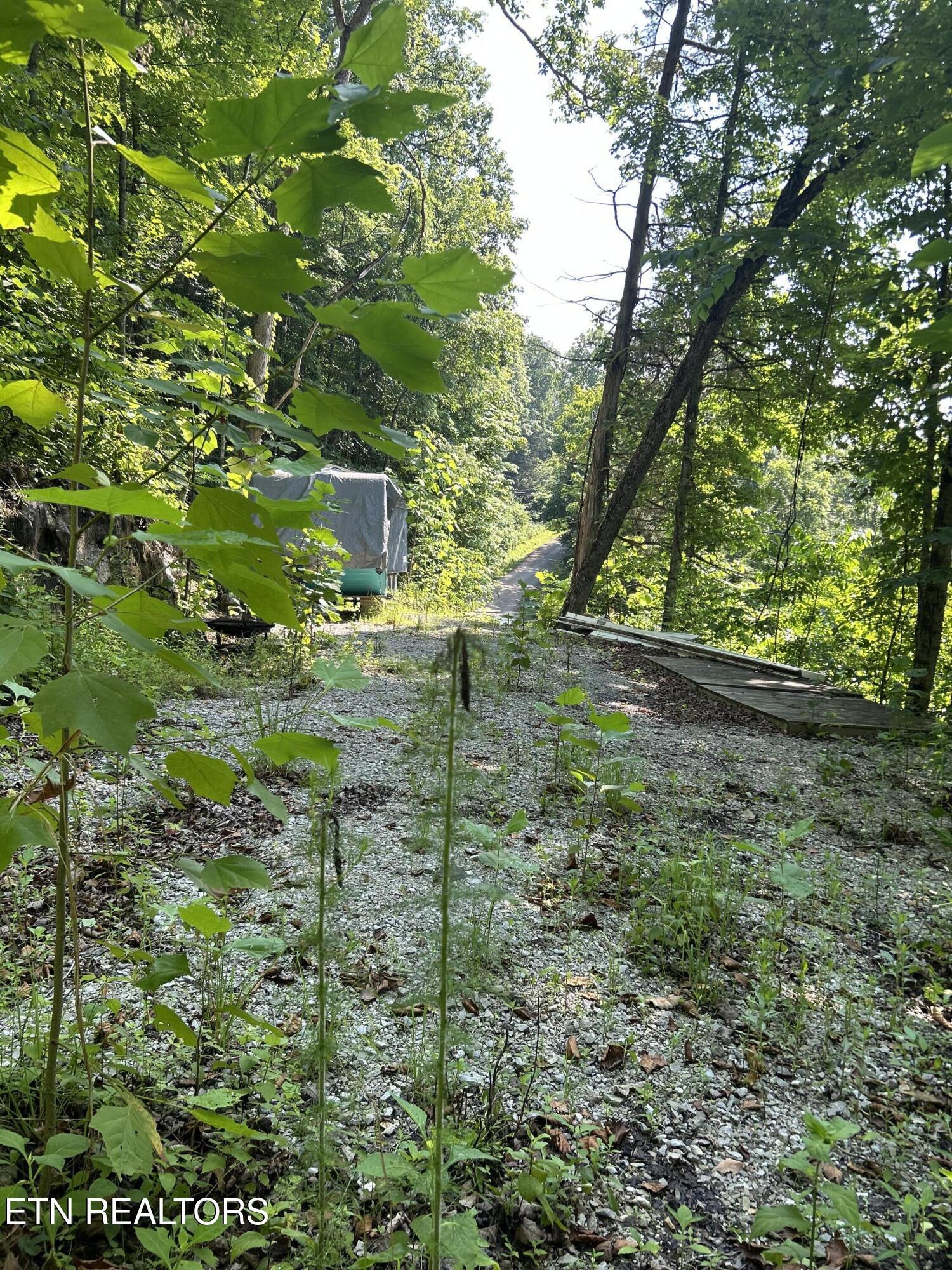 Norris Lake Real Estate - Image# 5