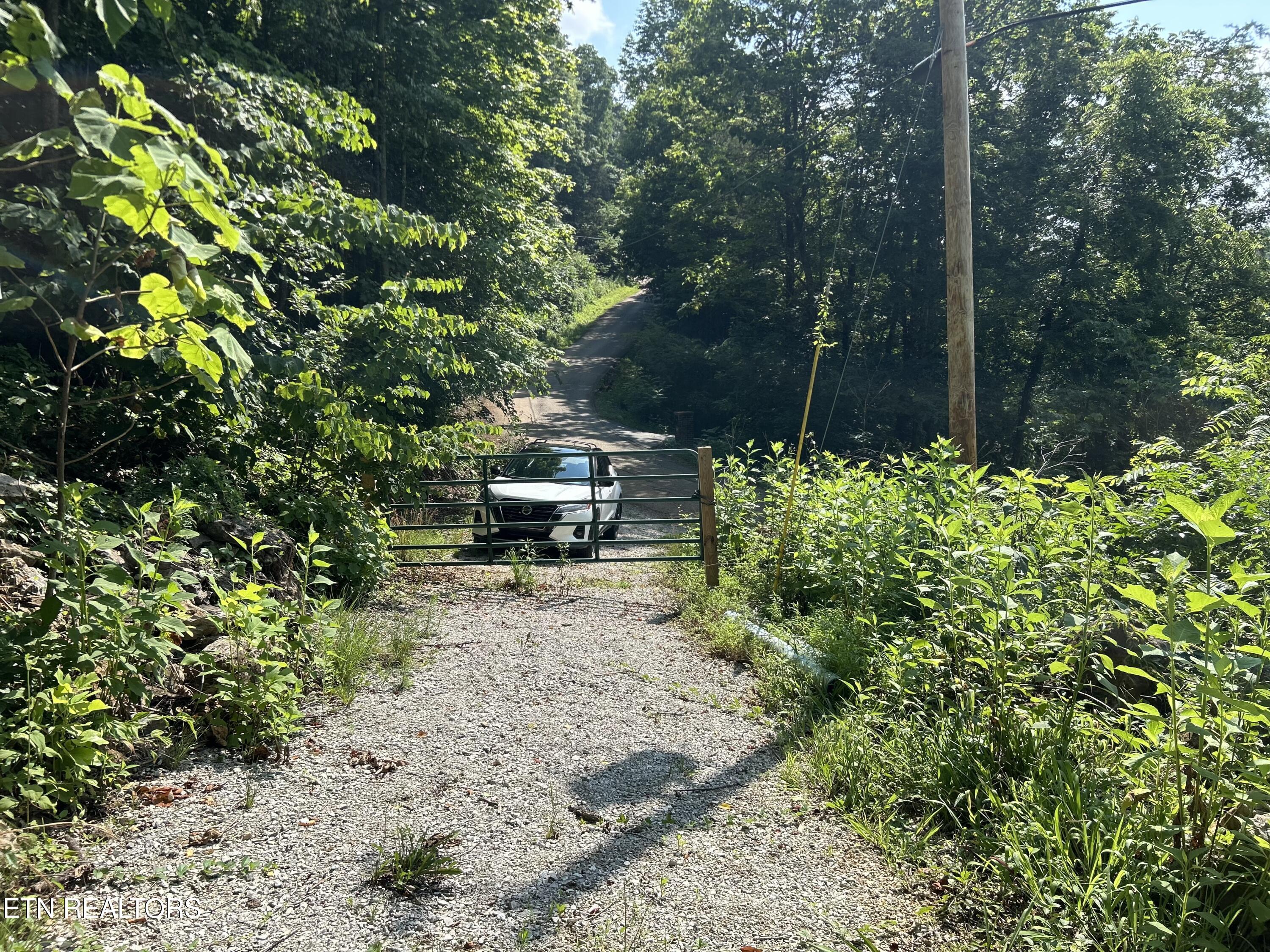 Norris Lake Real Estate - Image# 6