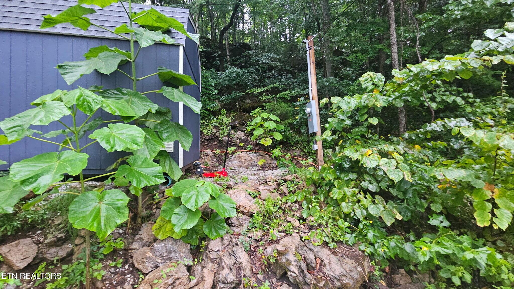 Norris Lake Real Estate - Image# 7