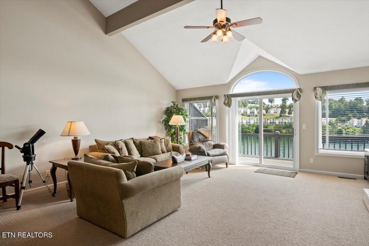 Norris Lake Real Estate - Image# 14
