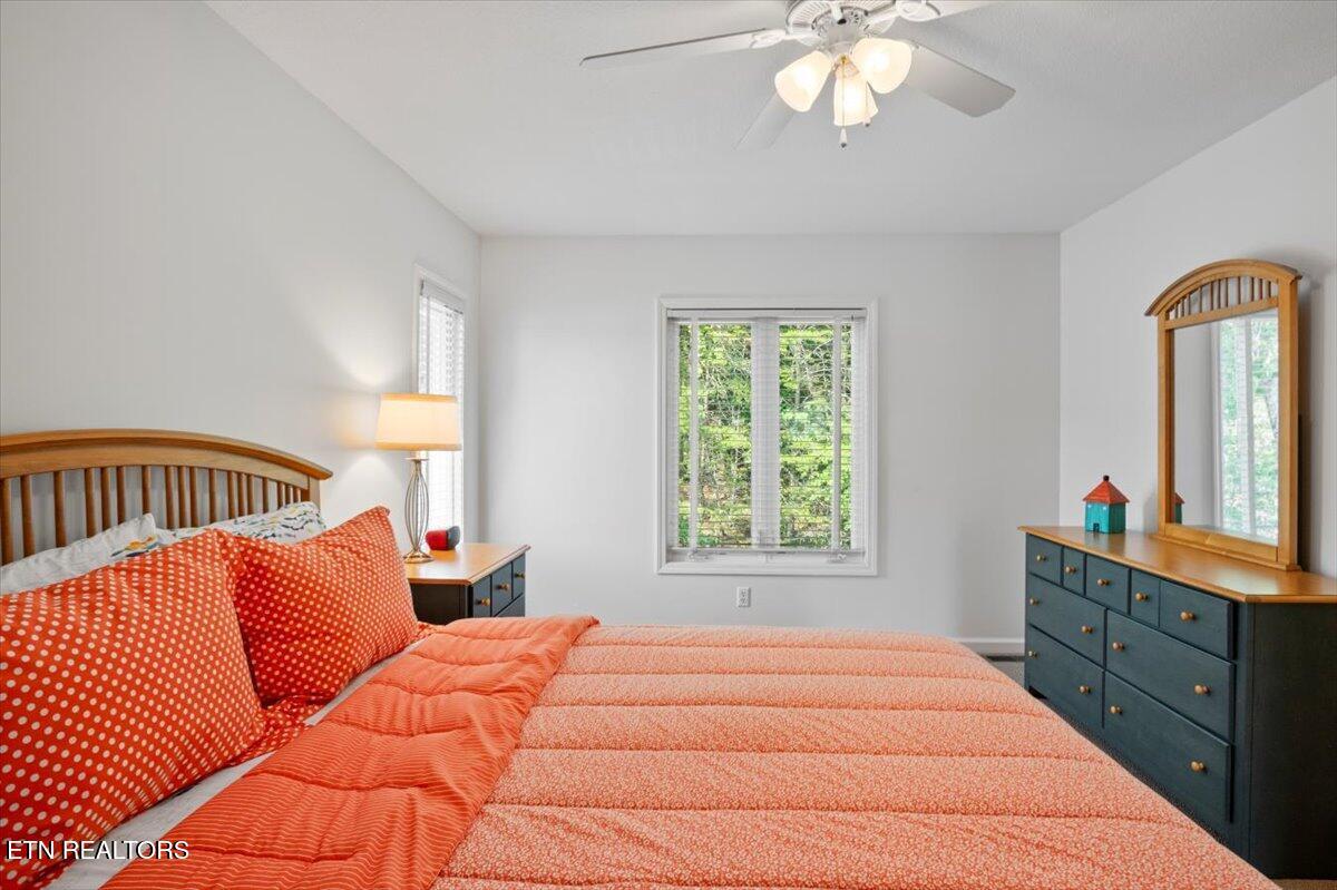 Norris Lake Real Estate - Image# 41