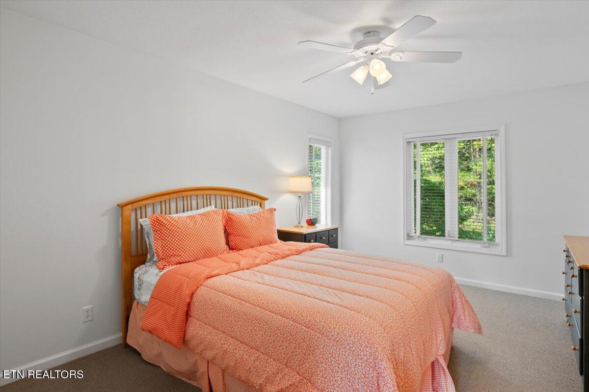 Norris Lake Real Estate - Image# 45