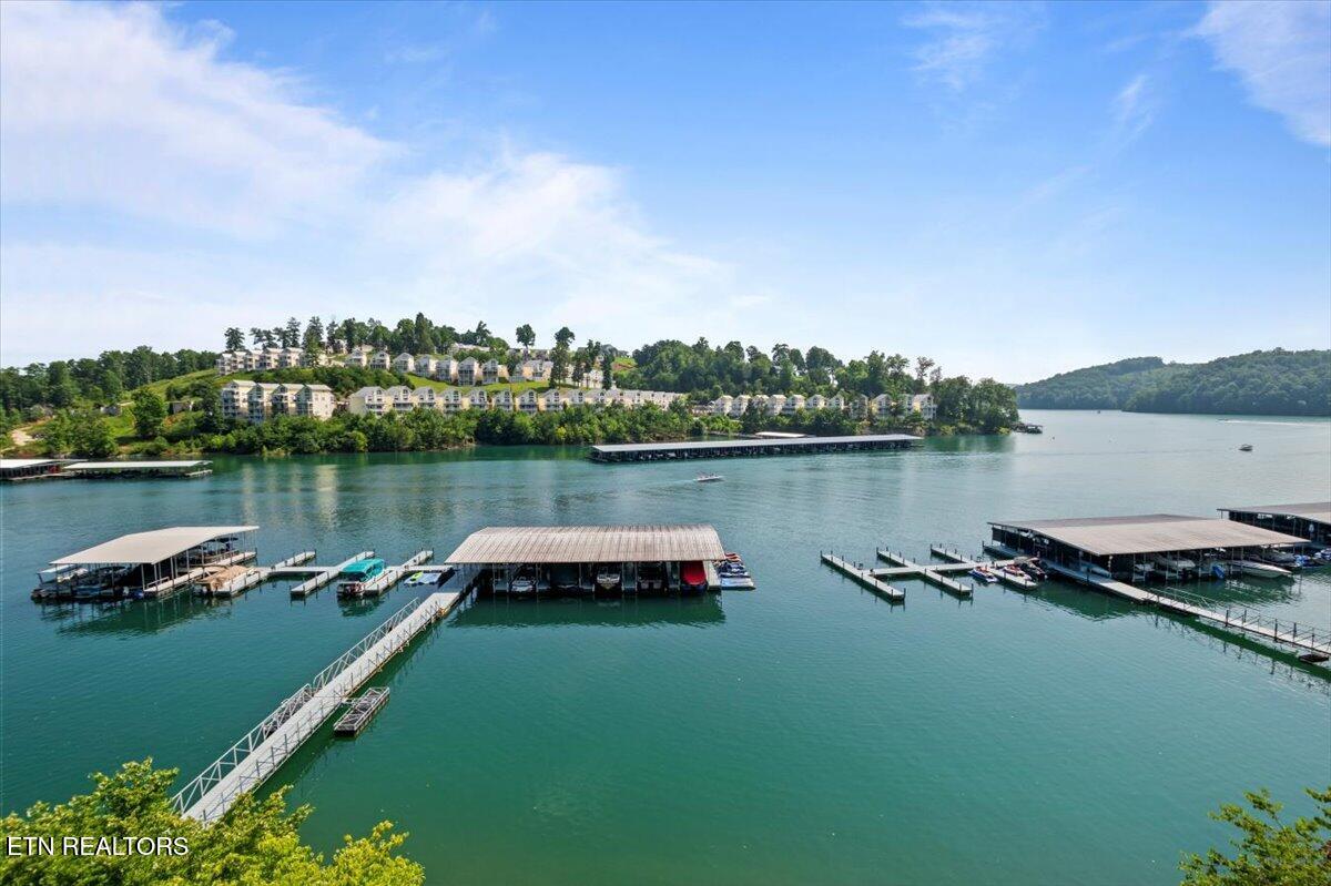 Norris Lake Real Estate - Image# 44