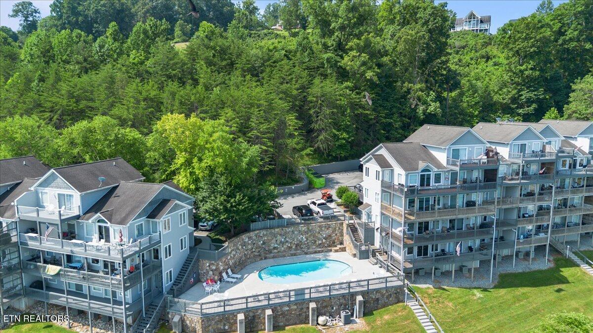 Norris Lake Real Estate - Image# 4